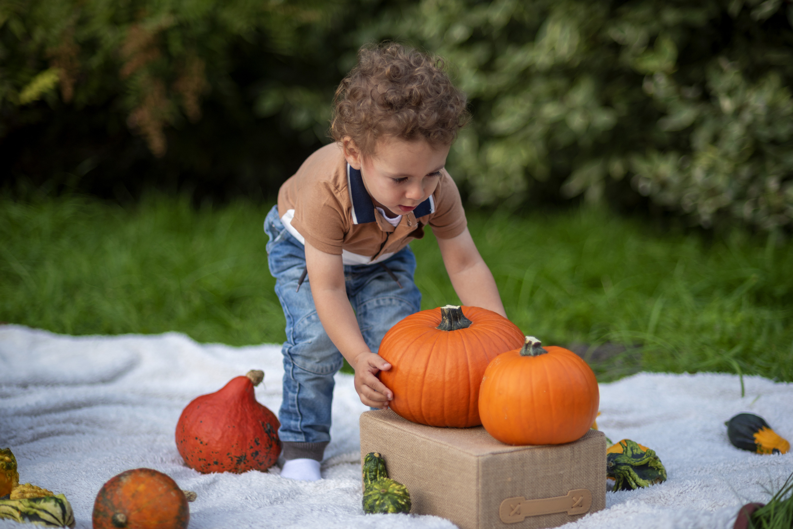Maluch. Fotograf w Krakowie Irina Satserdova