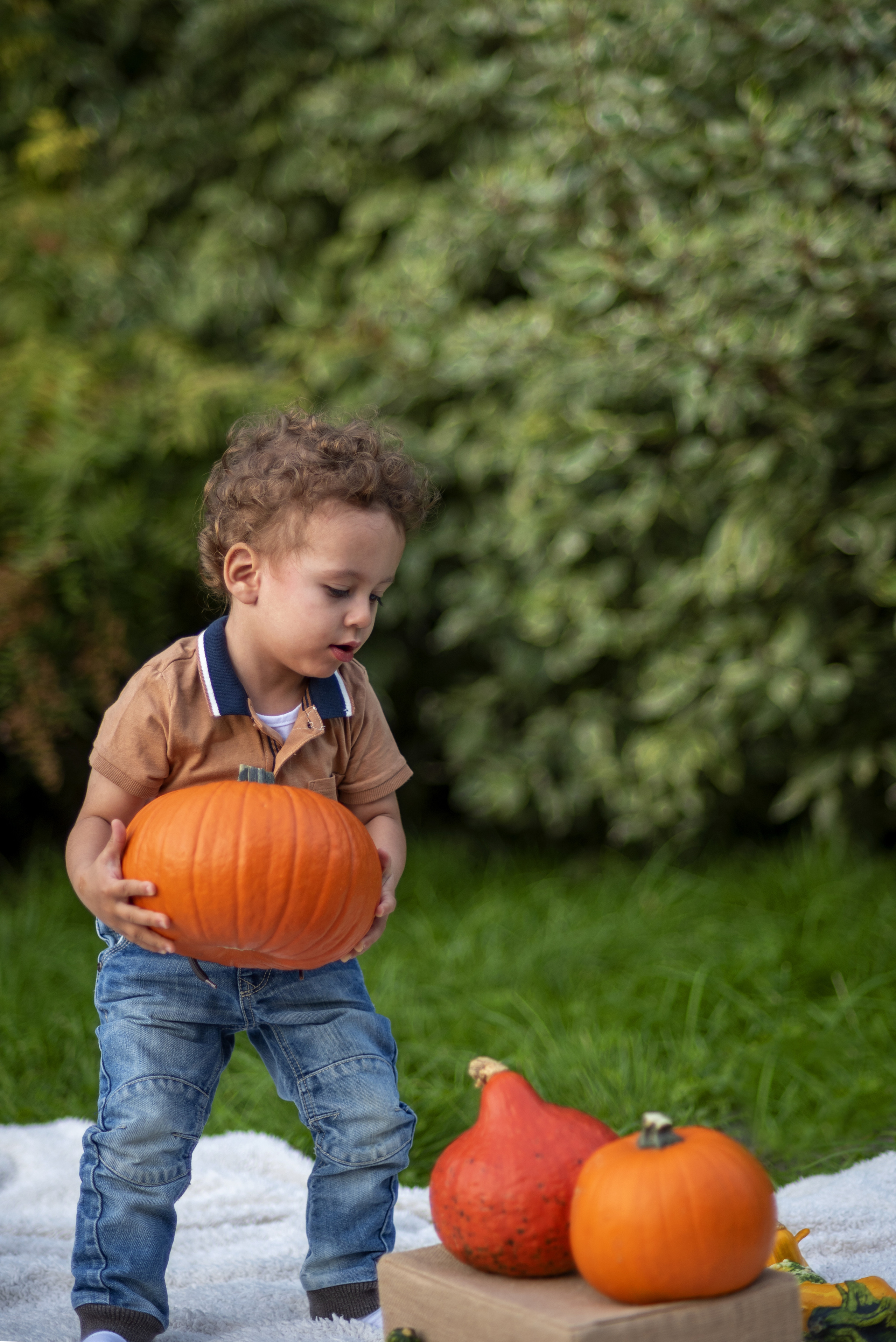 Maluch. Fotograf w Krakowie Irina Satserdova