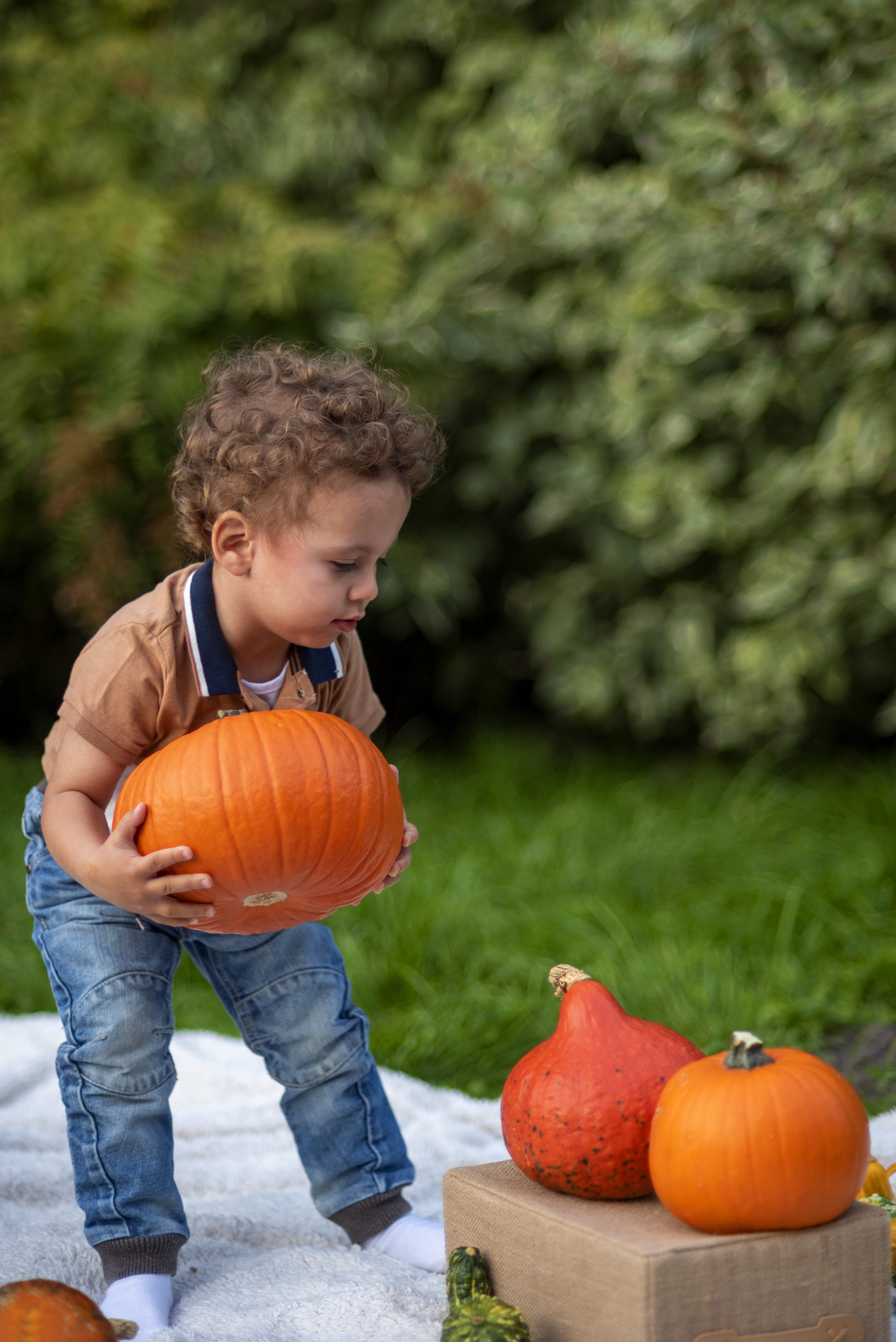 Maluch. Fotograf w Krakowie Irina Satserdova