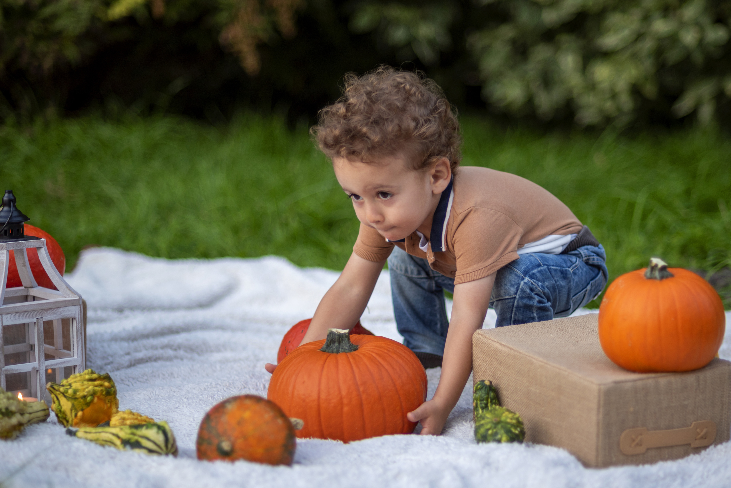 Maluch. Fotograf w Krakowie Irina Satserdova
