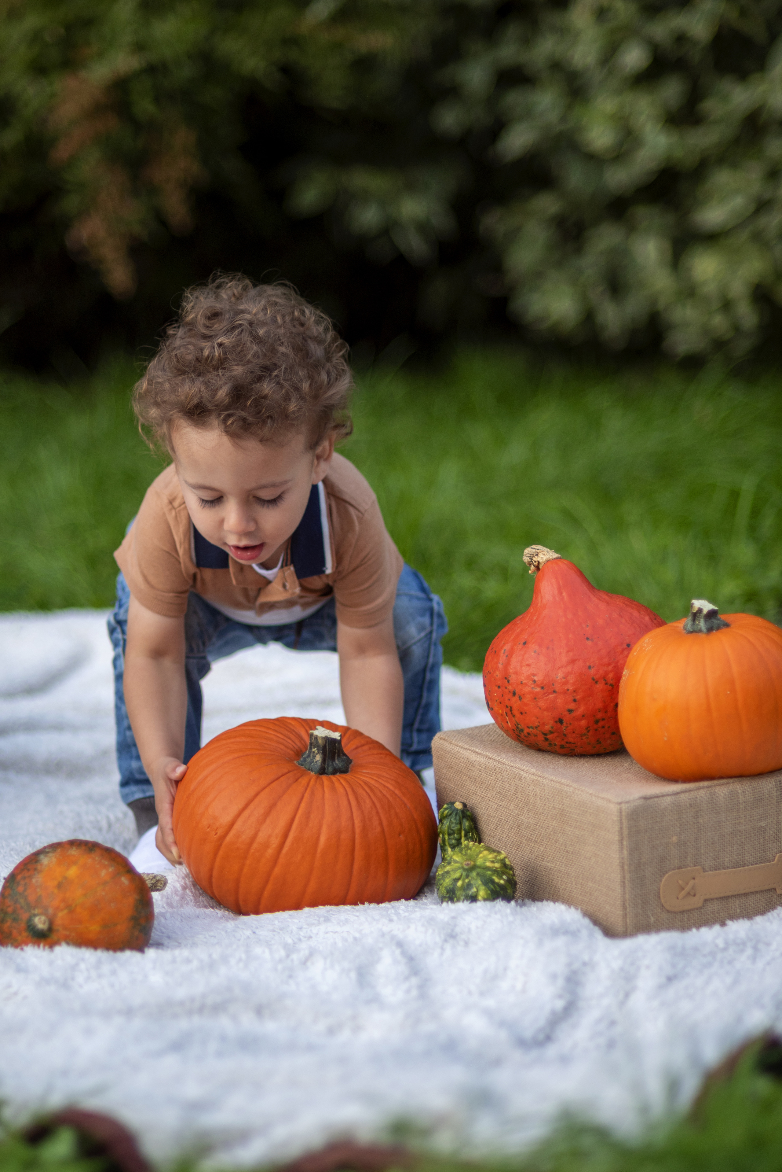 Maluch. Fotograf w Krakowie Irina Satserdova