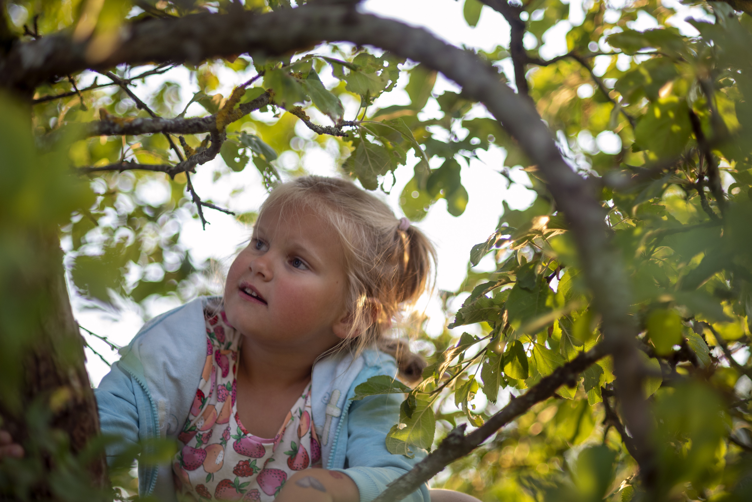 Na brzegu. Fotograf w Krakowie Irina Satserdova
