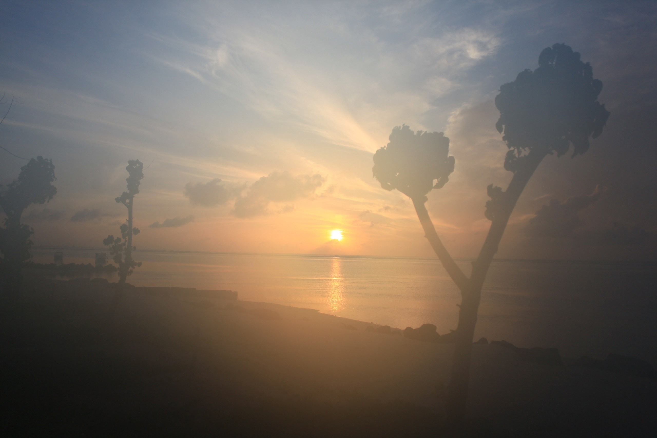 Пейзажи. Фотограф Мельник Ирина. Москва