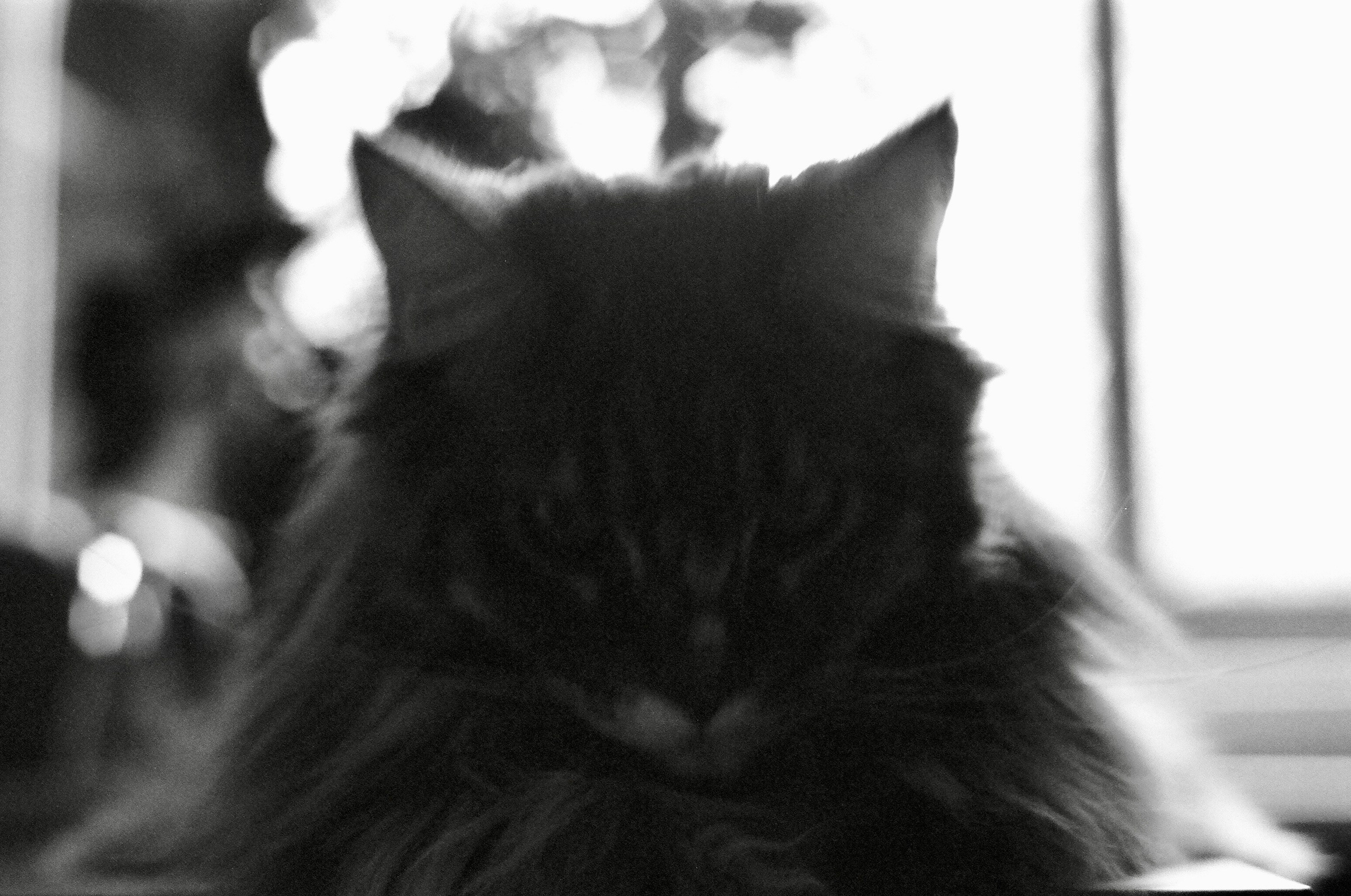 Film. Ruslan UI Dev Page