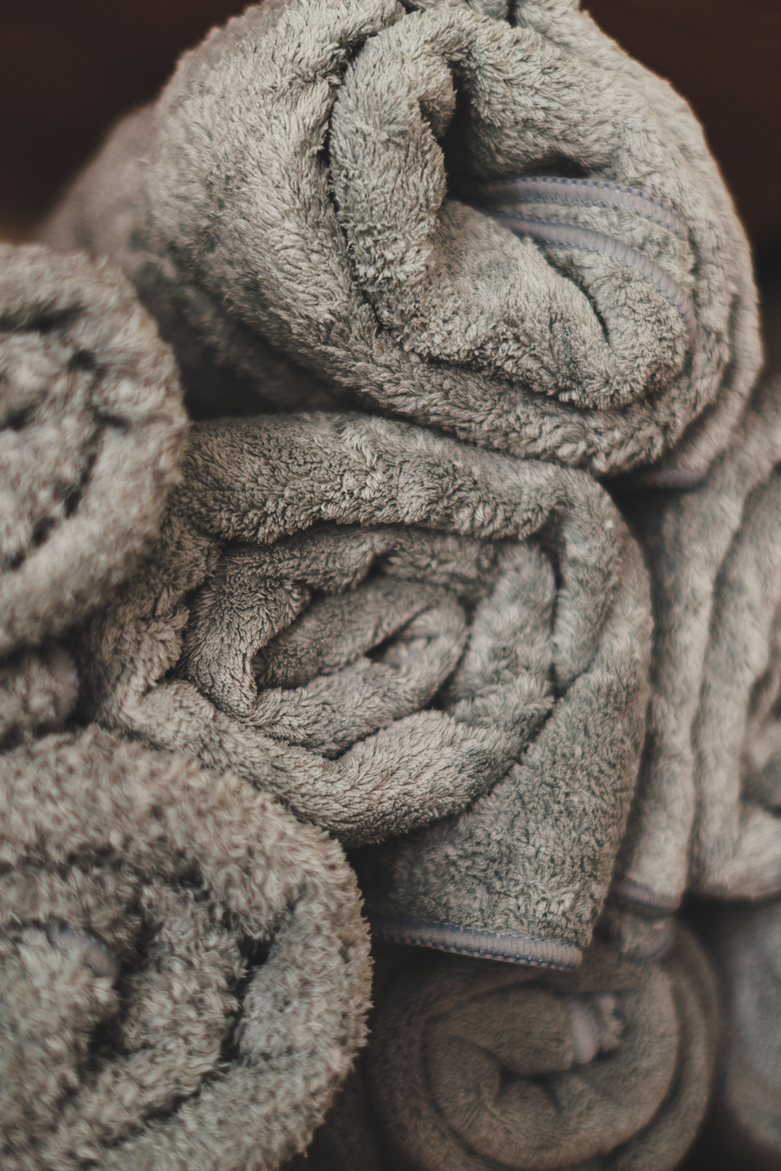 Груминг-салон. Фотограф анималист Осипчикова Мария