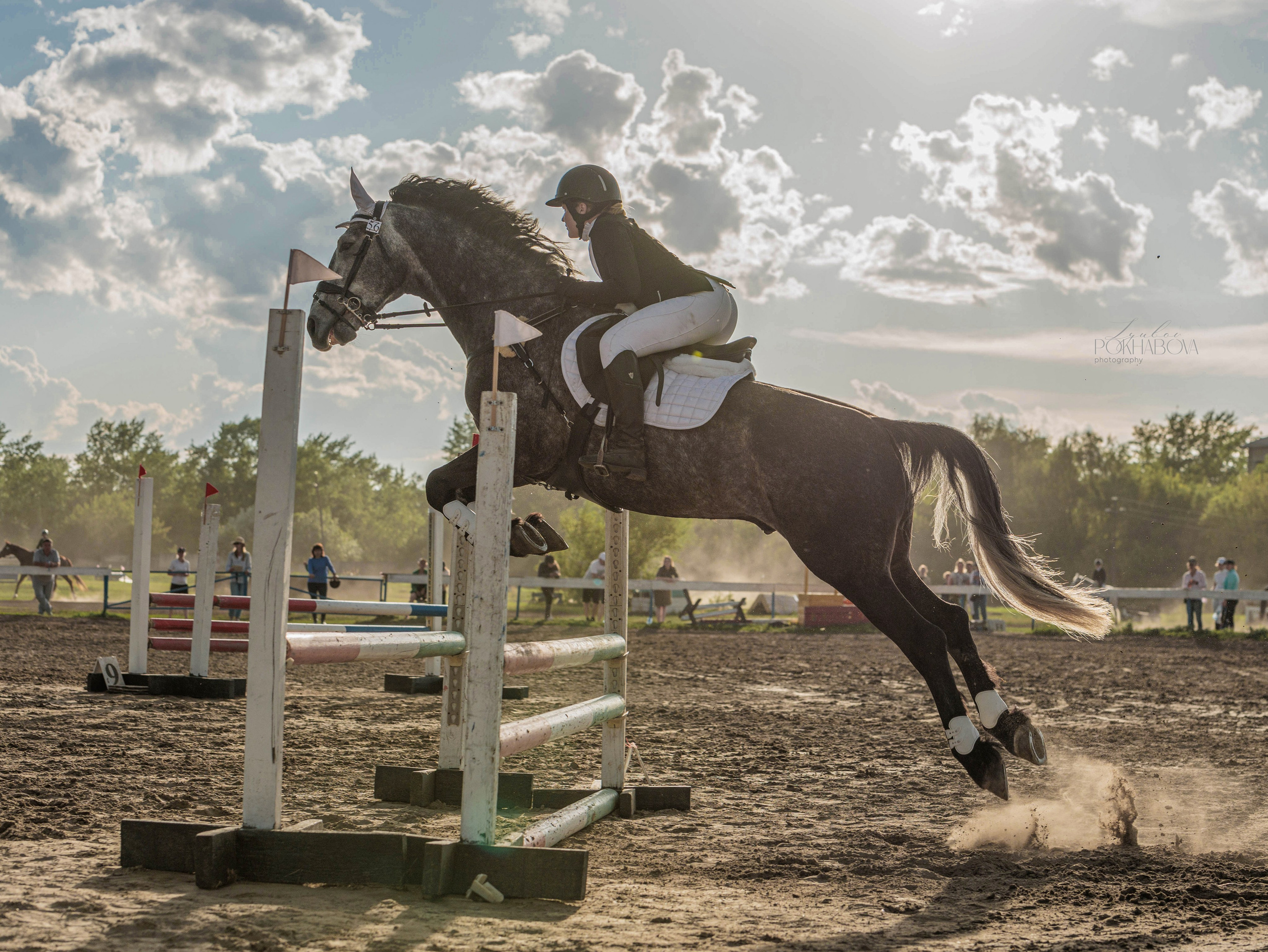 2025. Конный фотограф в Красноярске — Любовь Похабова