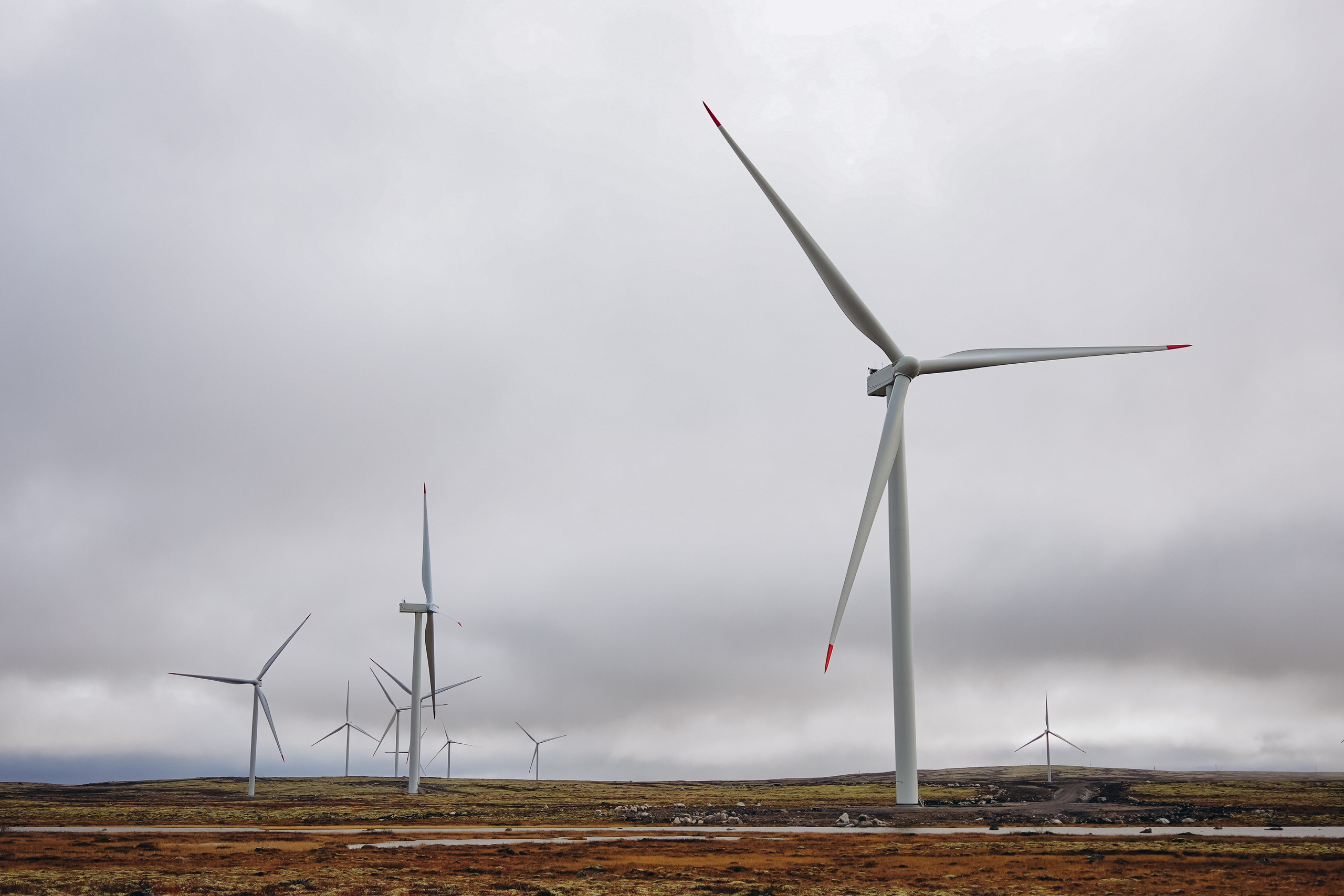 СЕВЕР. Event фотограф Степанова Александра