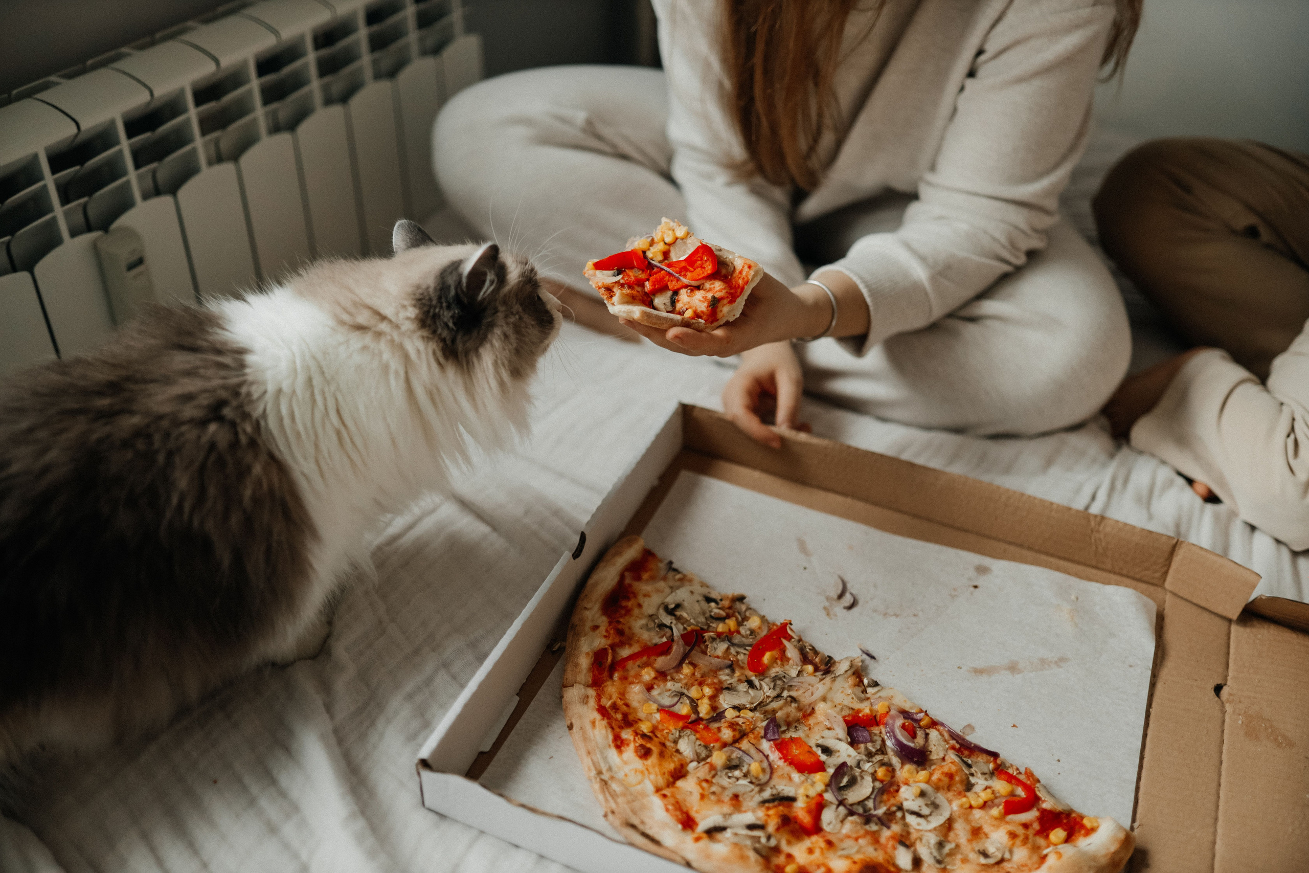 Вкусная история. Свадебный и семейный фотограф в Варшаве