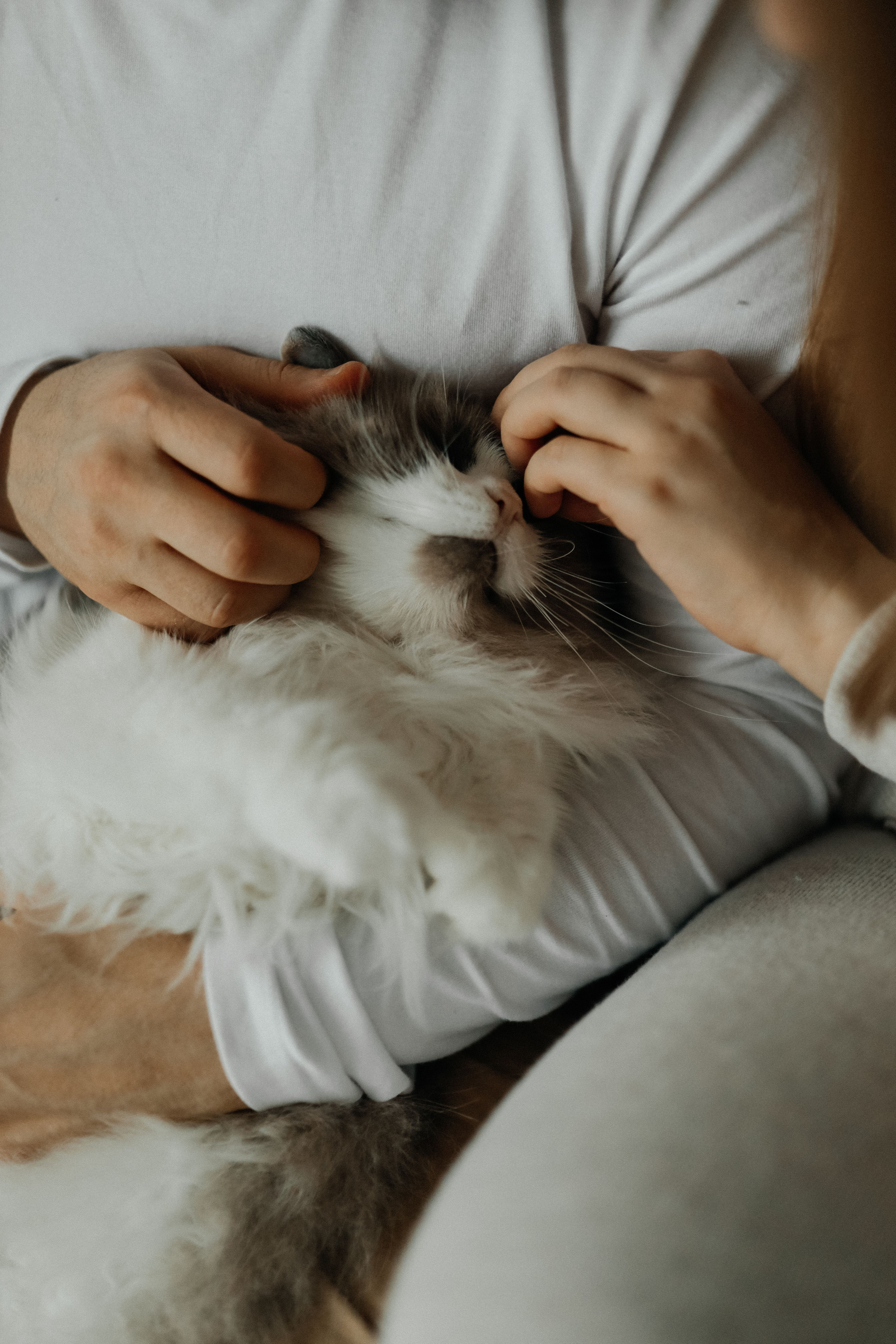 Вкусная история. Свадебный и семейный фотограф в Варшаве