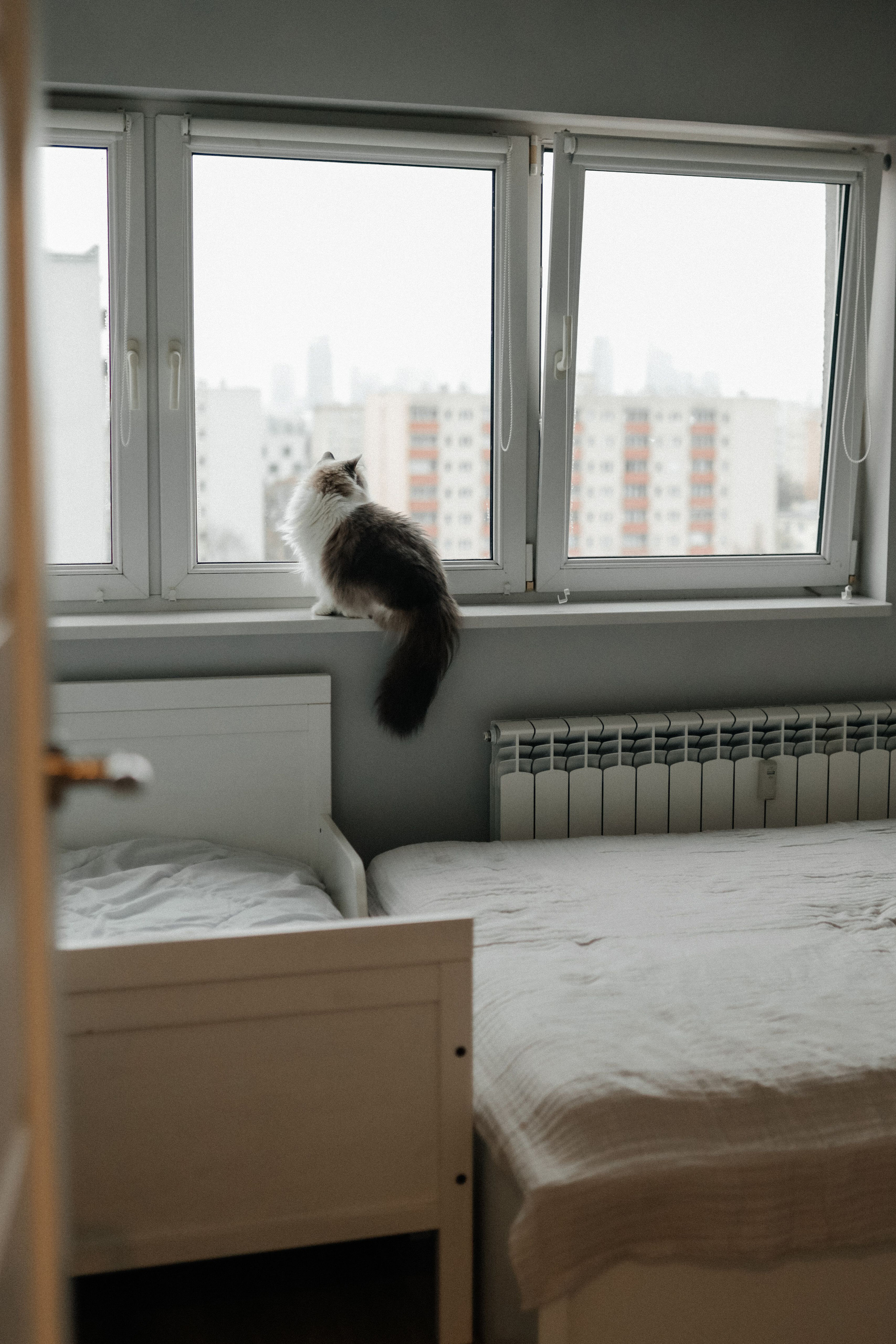 Вкусная история. Свадебный и семейный фотограф в Варшаве