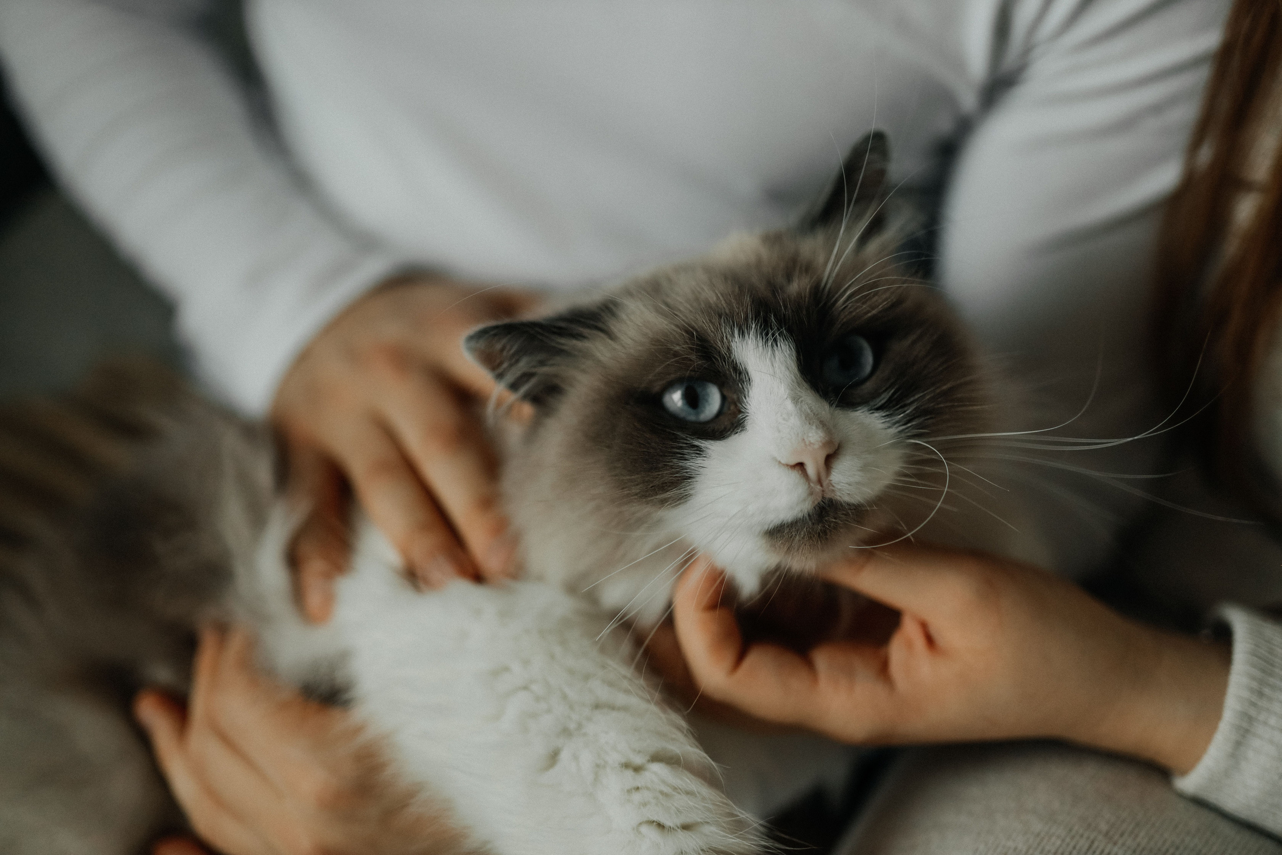 Вкусная история. Свадебный и семейный фотограф в Варшаве