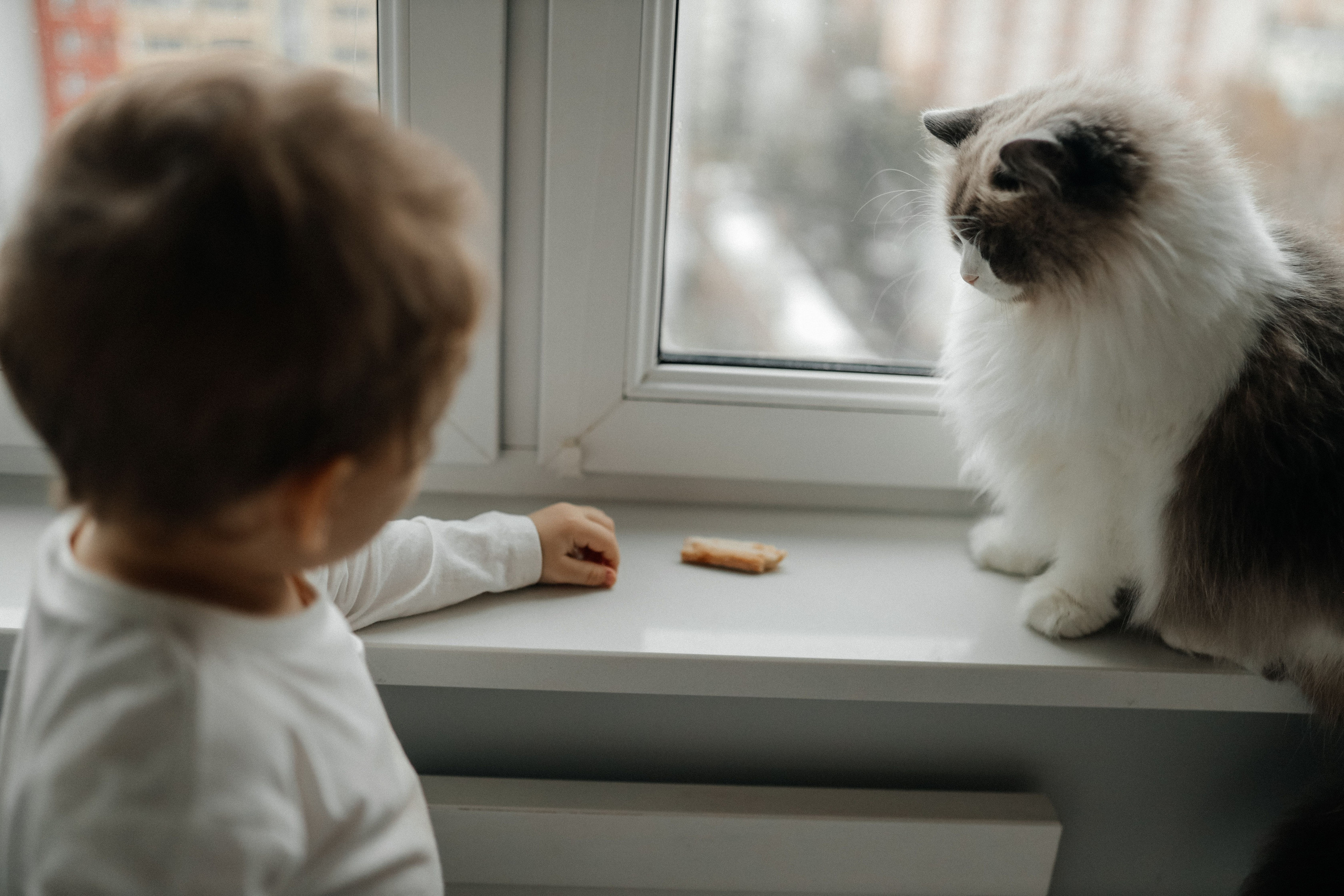Вкусная история. Свадебный и семейный фотограф в Варшаве
