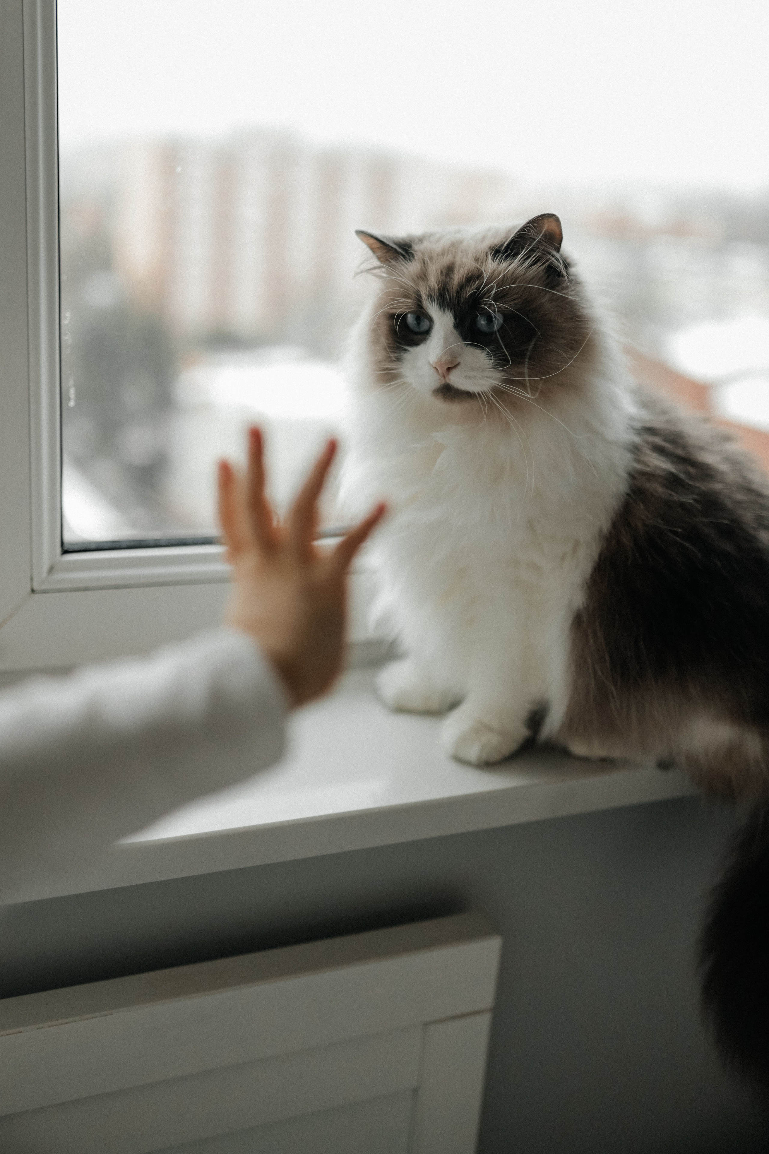 Вкусная история. Свадебный и семейный фотограф в Варшаве