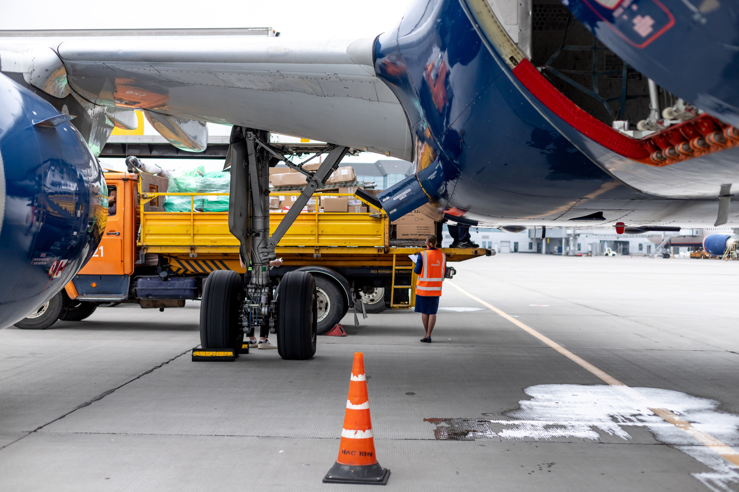 Споттинг 2024. Семейный и детский фотограф в Хабаровске Алевтина Проскурякова