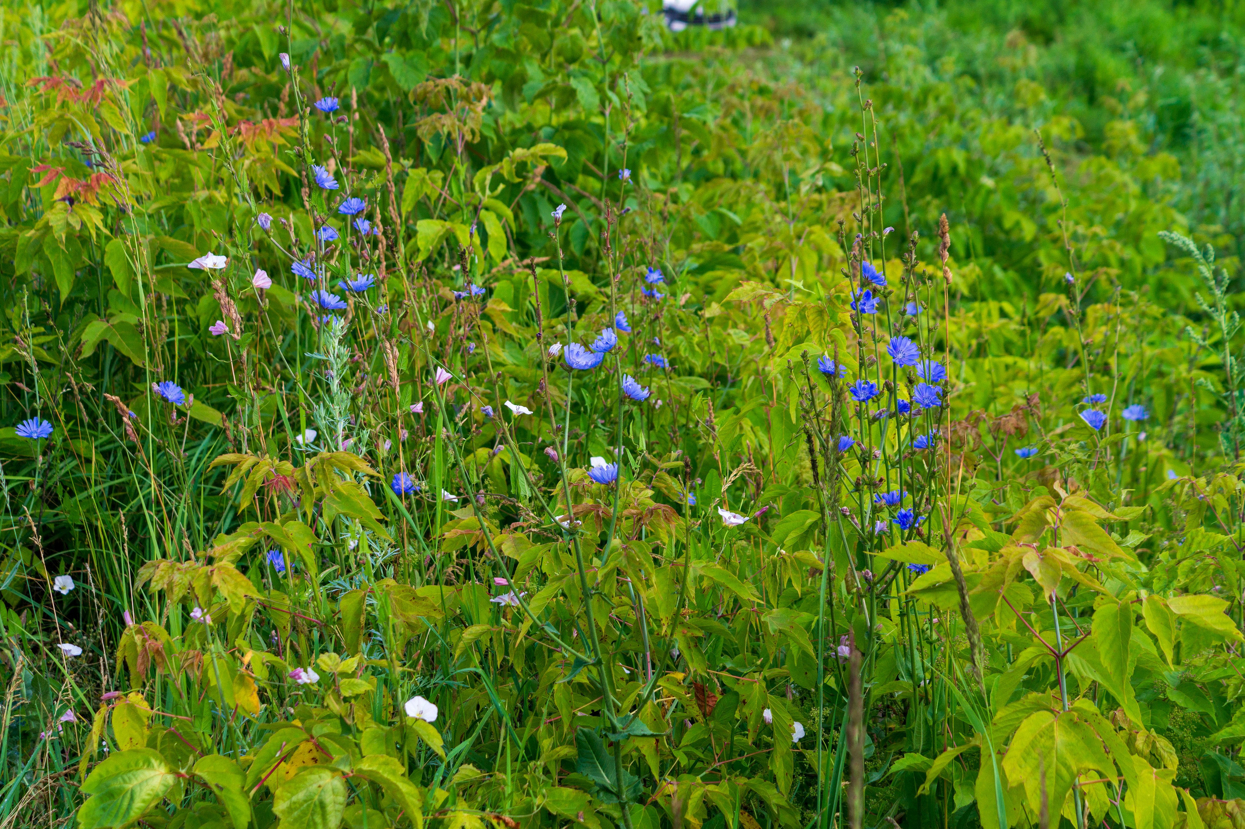 Г. Вятские Поляны лето 2025. Портретный и семейный фотограф Санкт-Петербург