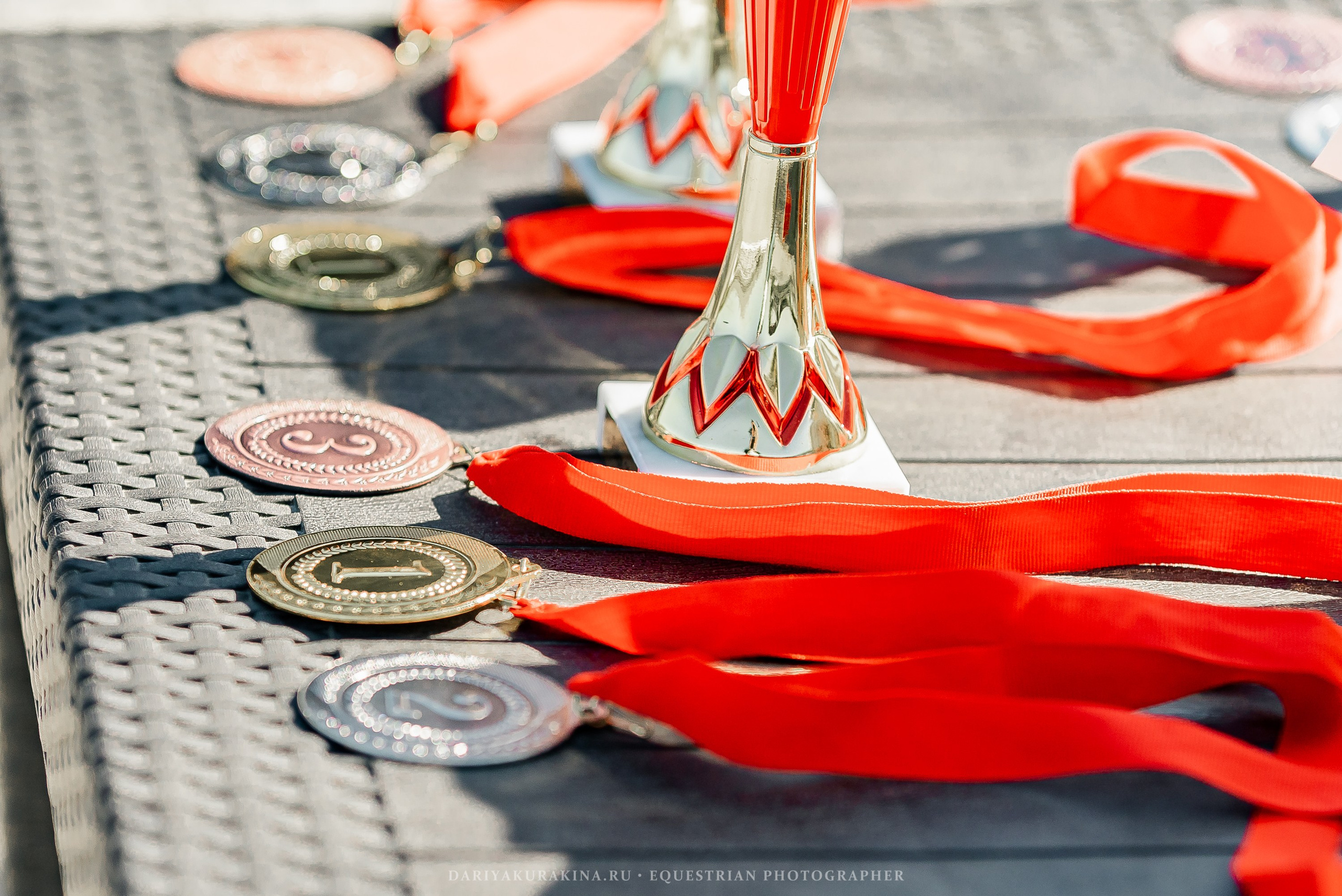 РЕПОРТАЖ МКК ВОЛЬТ «LA TULIPS». Конный фотограф Куракина Дарья • Фотосессии с лошадьми