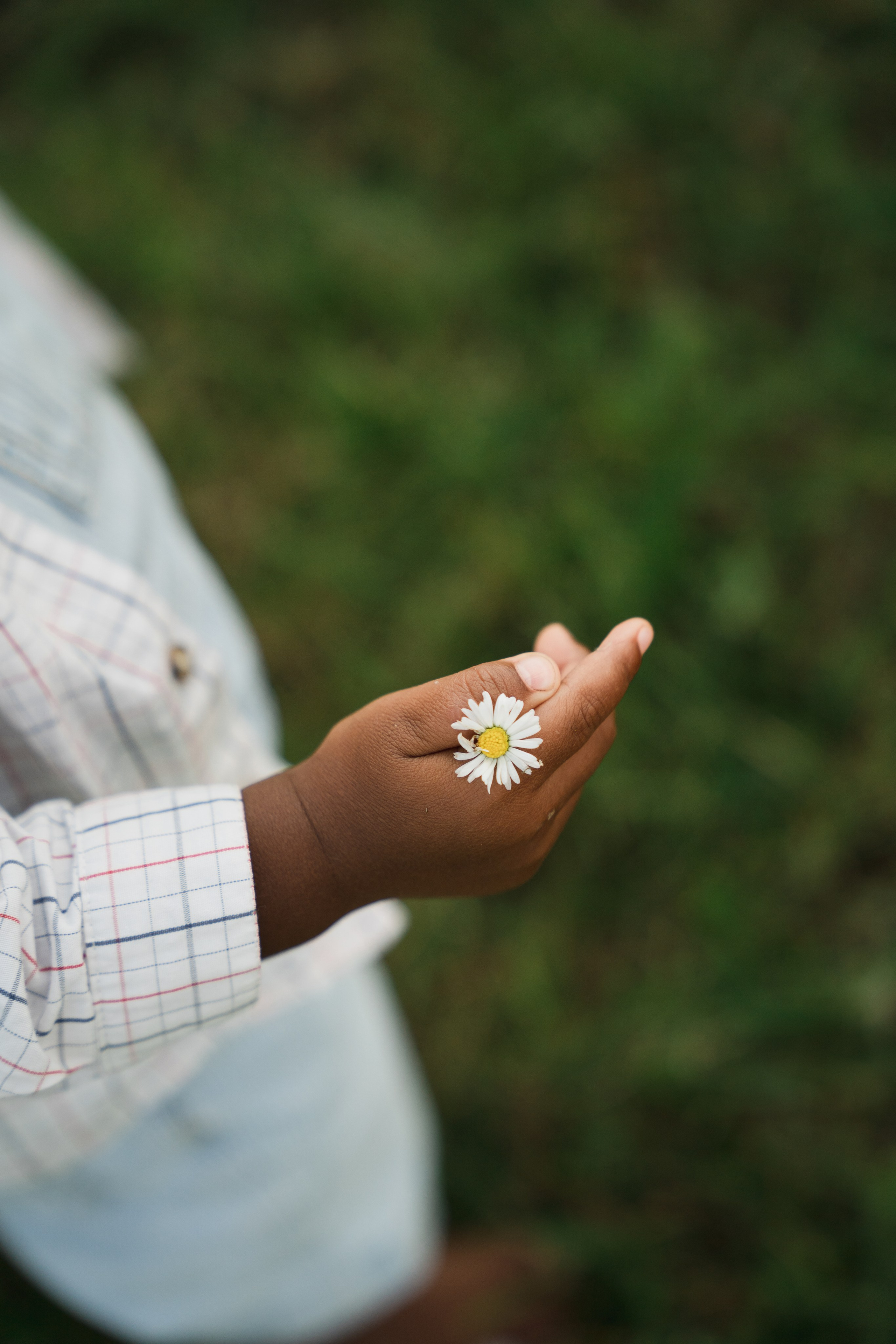 Родом из Англии. Главная