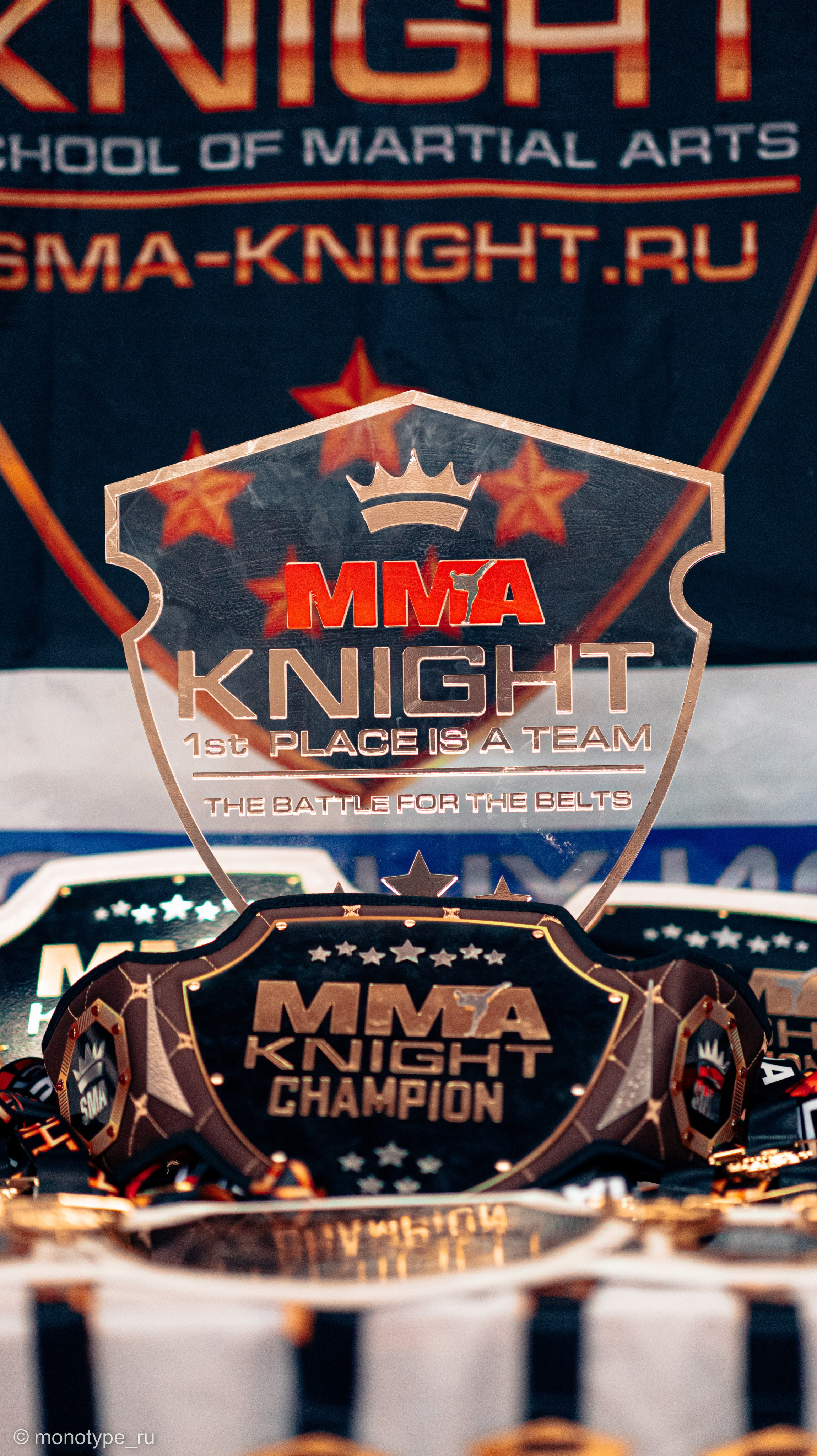 MMA. Бойцовский турнир