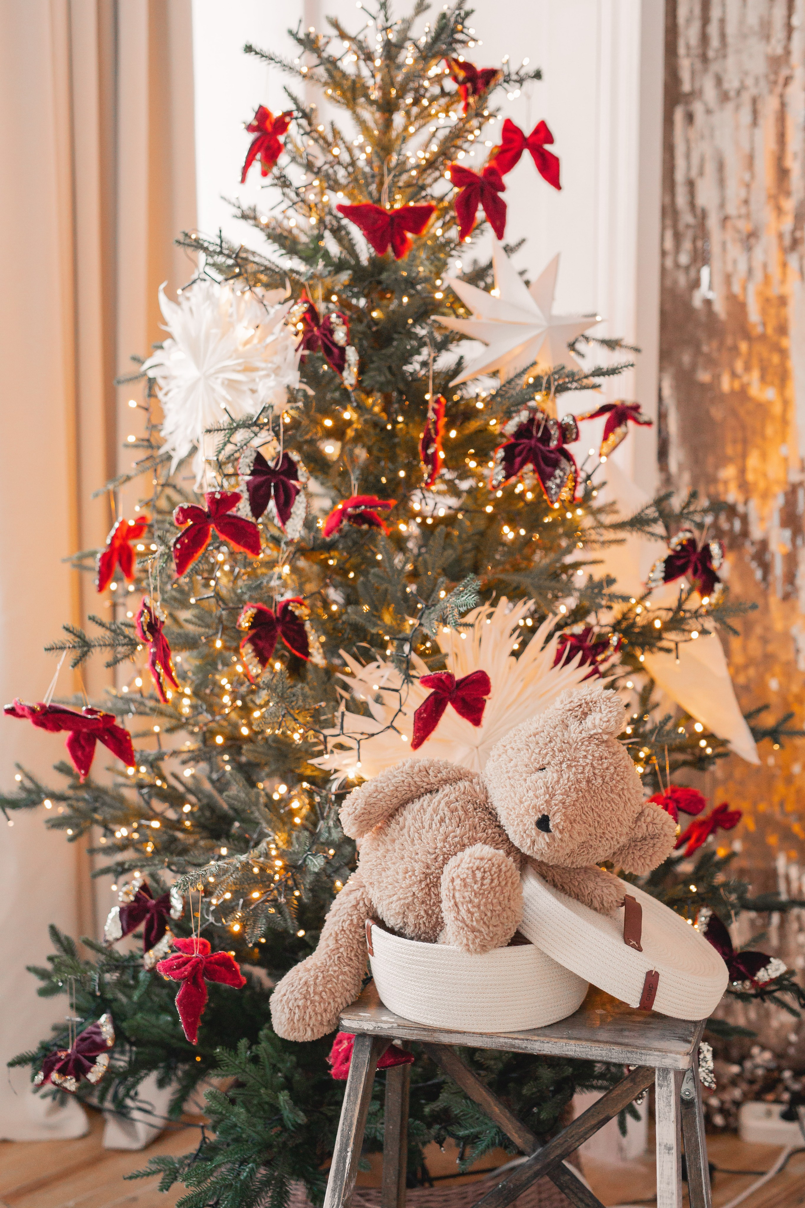 Семья Дмитриевых. Фотограф Анастасия Петрова