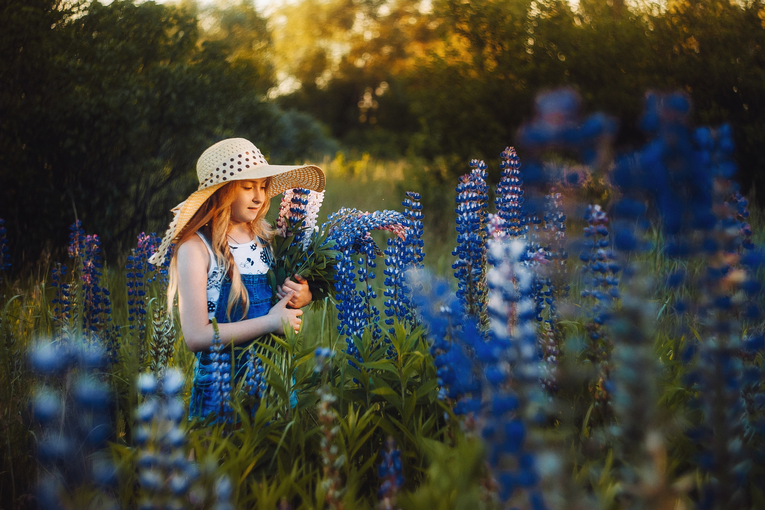 Солнечная Алена в Люпинах. Фотограф Сергей Логинов