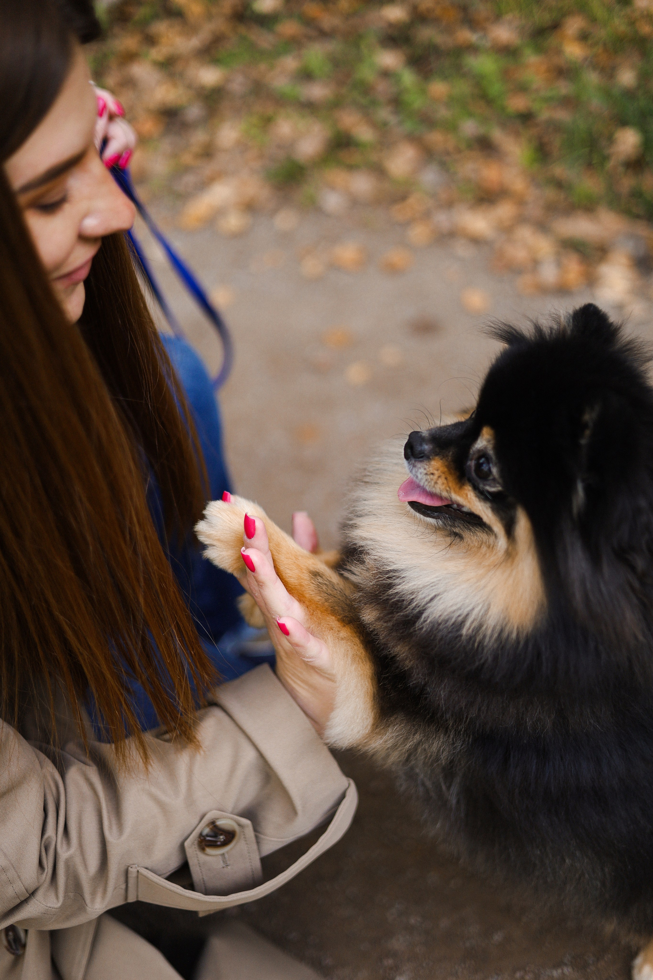 Арчи и Анастасия. Фотограф-анималист Ксения Шевцова|Москва
