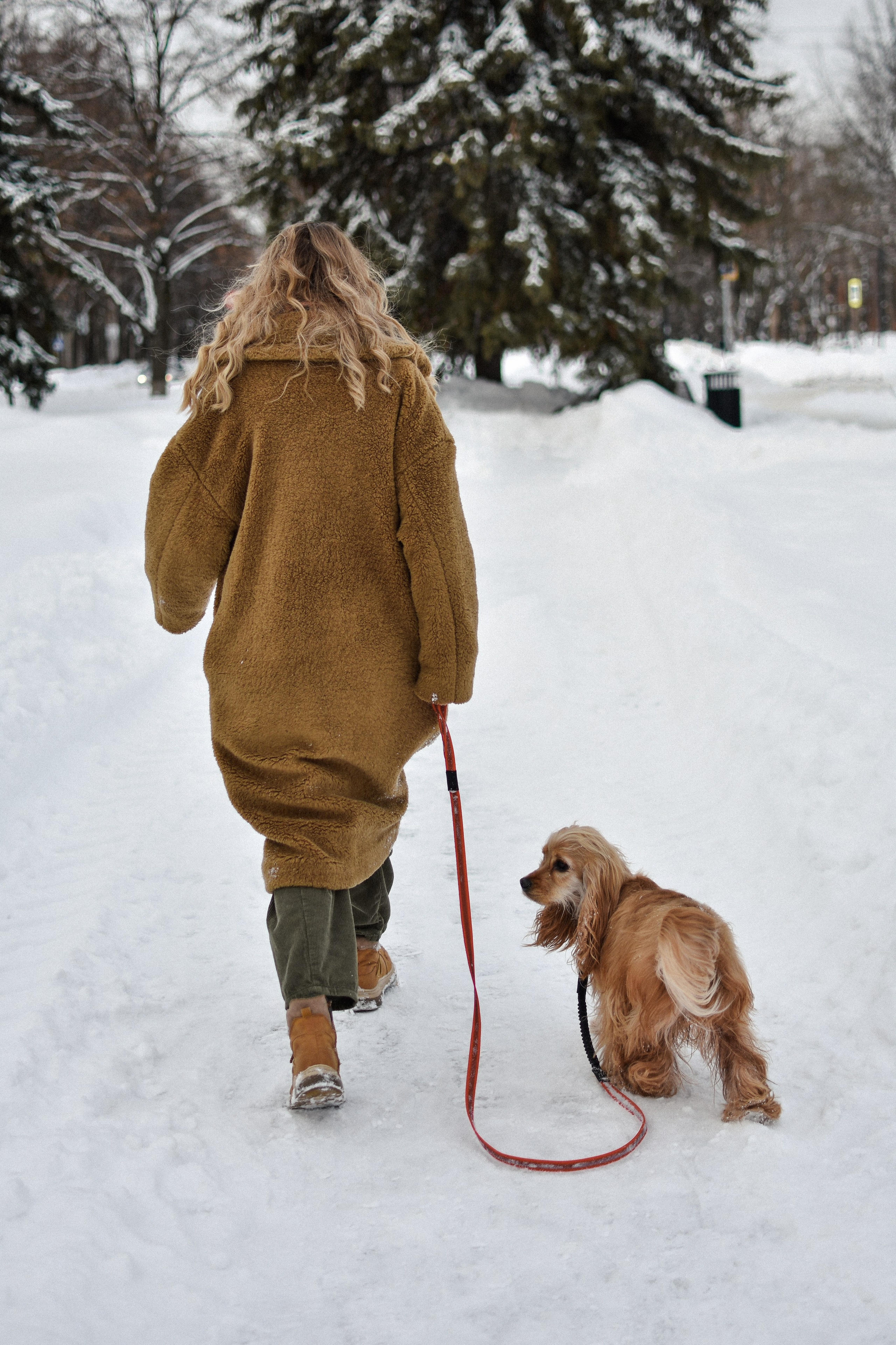 Мира и Даша. Фотограф-анималист Ксения Шевцова|Москва