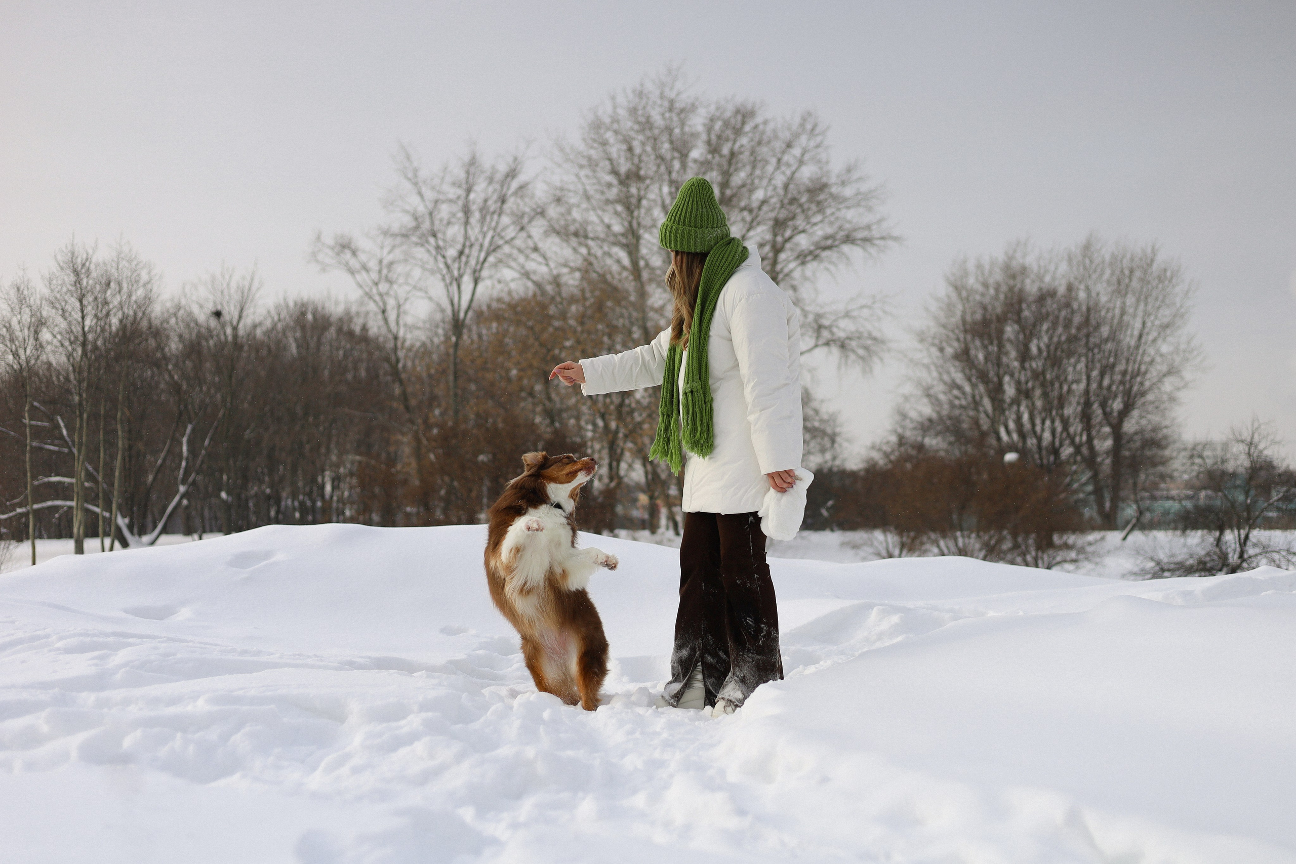 Макалу и Аня. Фотограф-анималист Ксения Шевцова|Москва