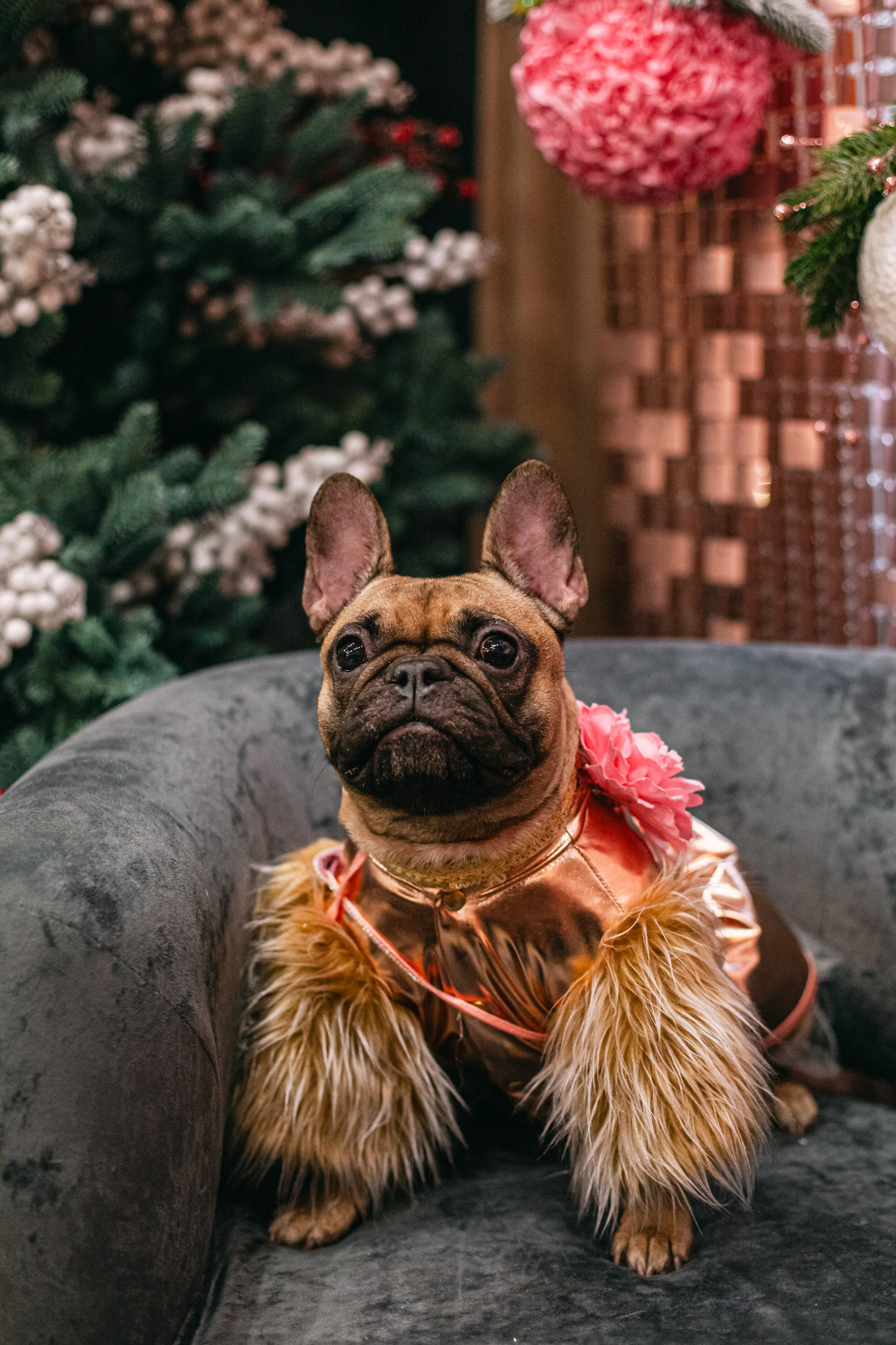 Бульёлка 2024. Фотограф-анималист Татьяна Степанова