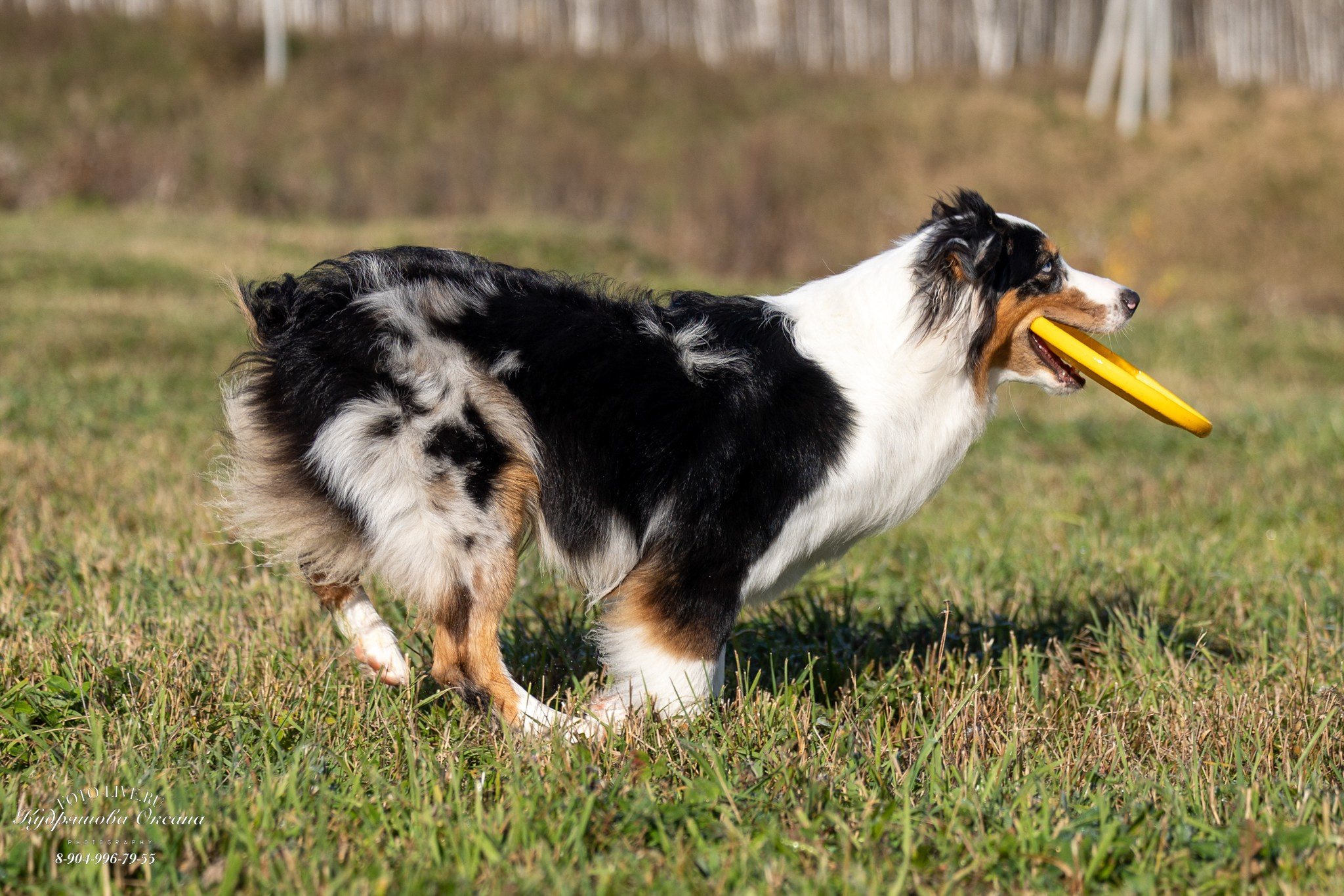 Настя и лилит!. Фотограф 📸 анималист, предметный, репортажный