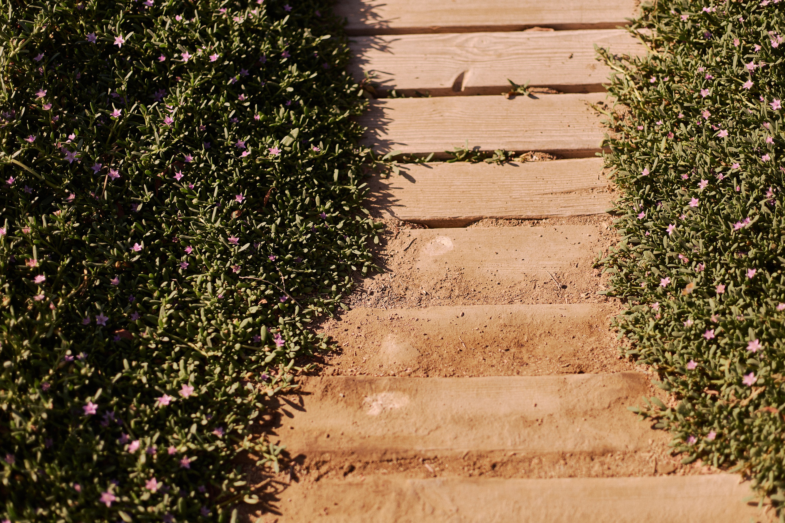 Улица горизонтальная. Jorgis — фотограф в Хургаде / обучение фотографии