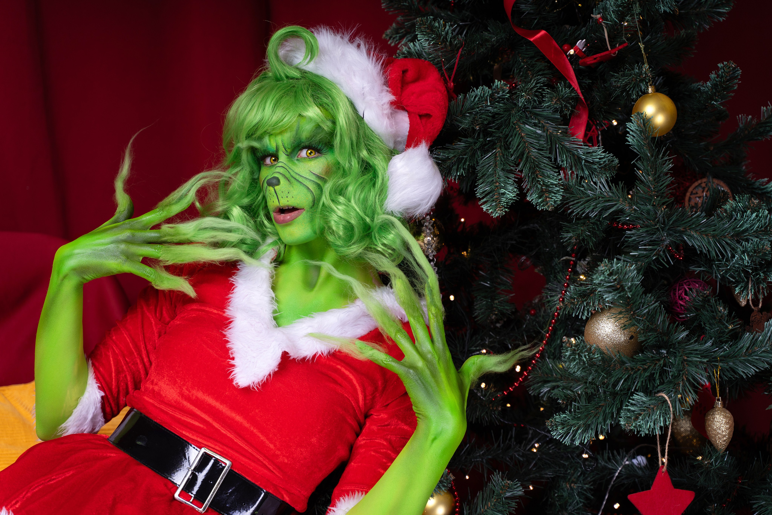 Гринч. Художественный фотограф Александр Чуприна в Москве