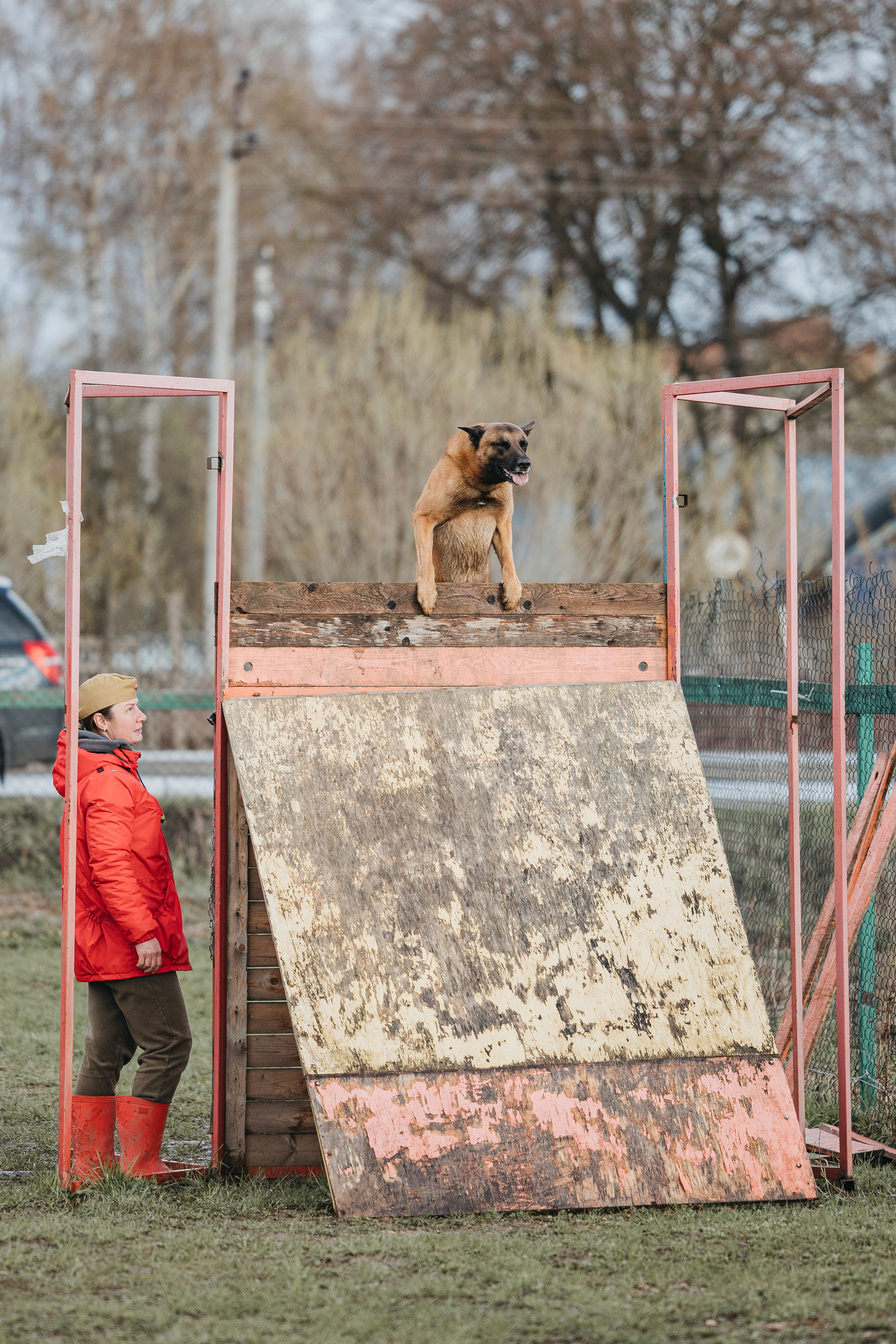 09.05.25 Вологда соревнования. Фотограф-анималист Анна Маринич