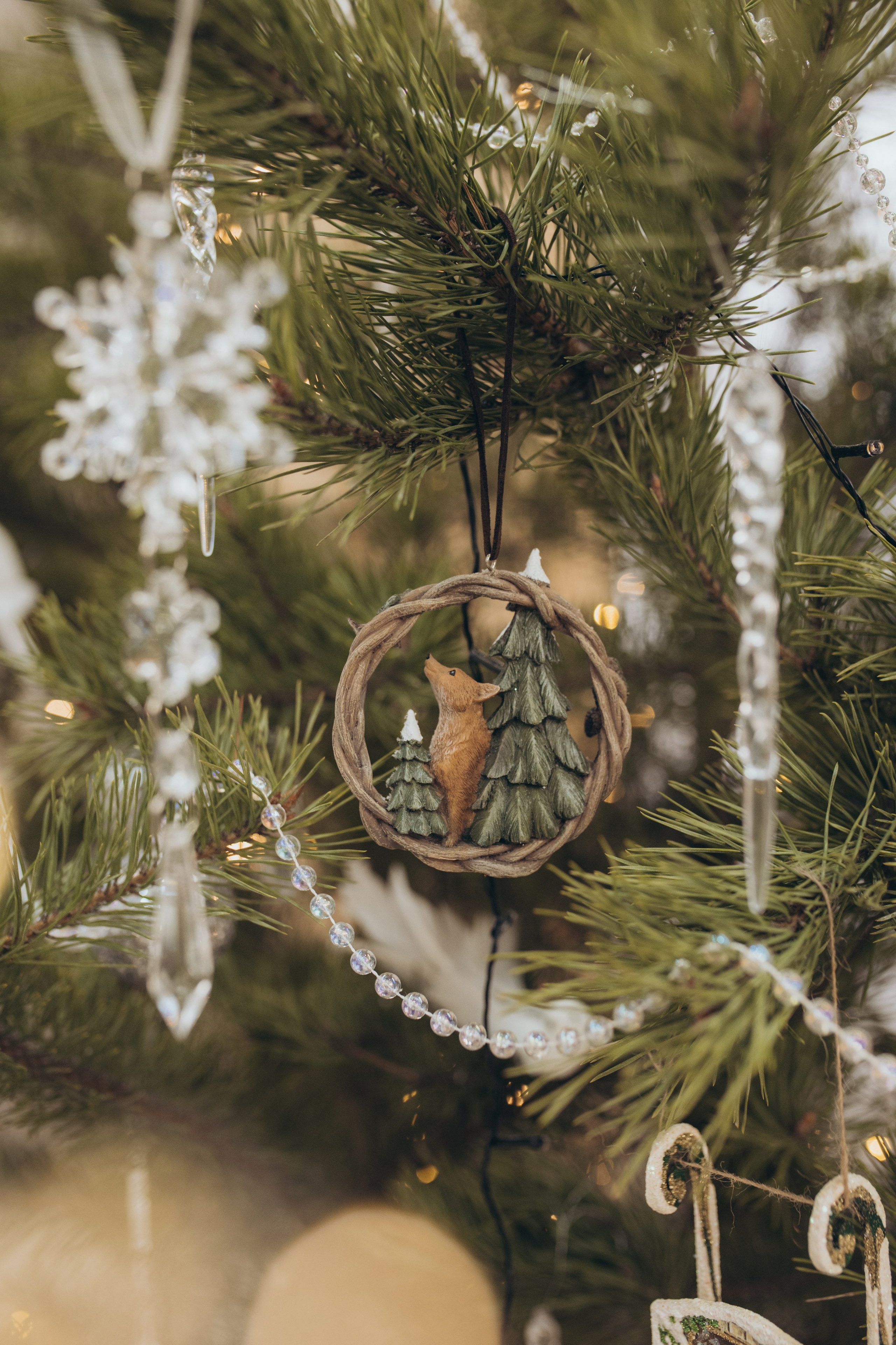Новый 2026 год. Свадебный и семейный фотограф в Белгороде Евгения Курочкина