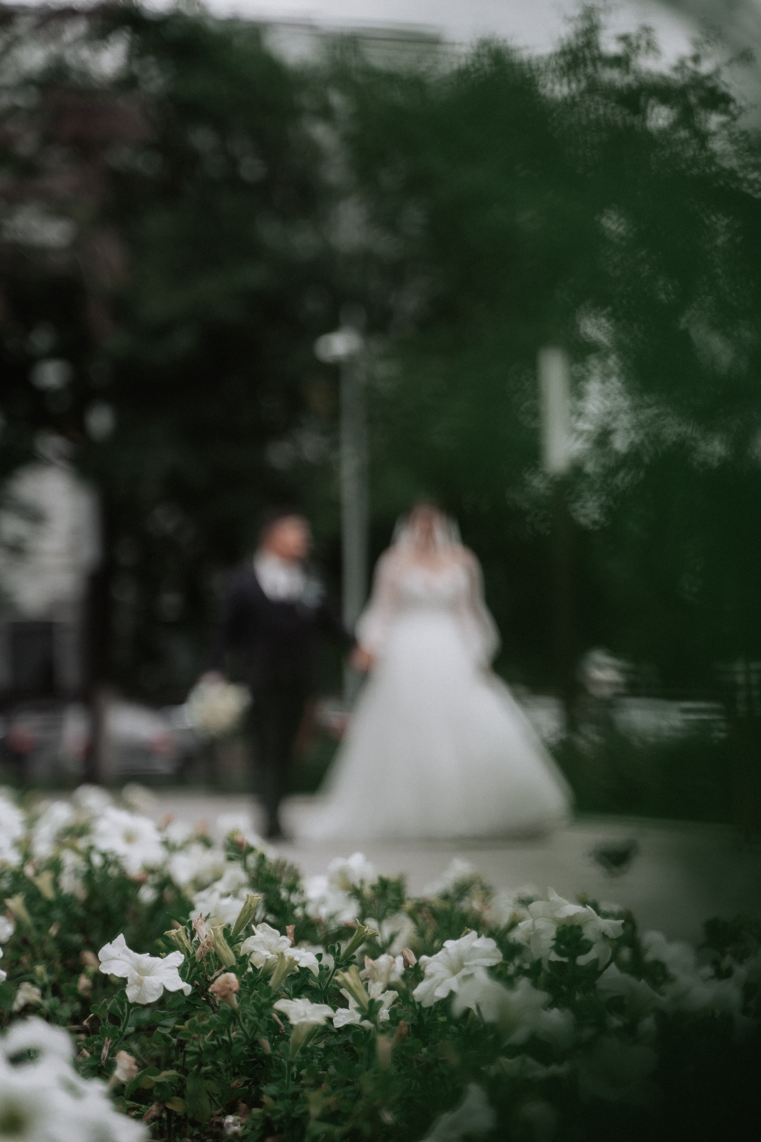 Денис и Анастасия. Свадебный фотограф в Чебоксарах