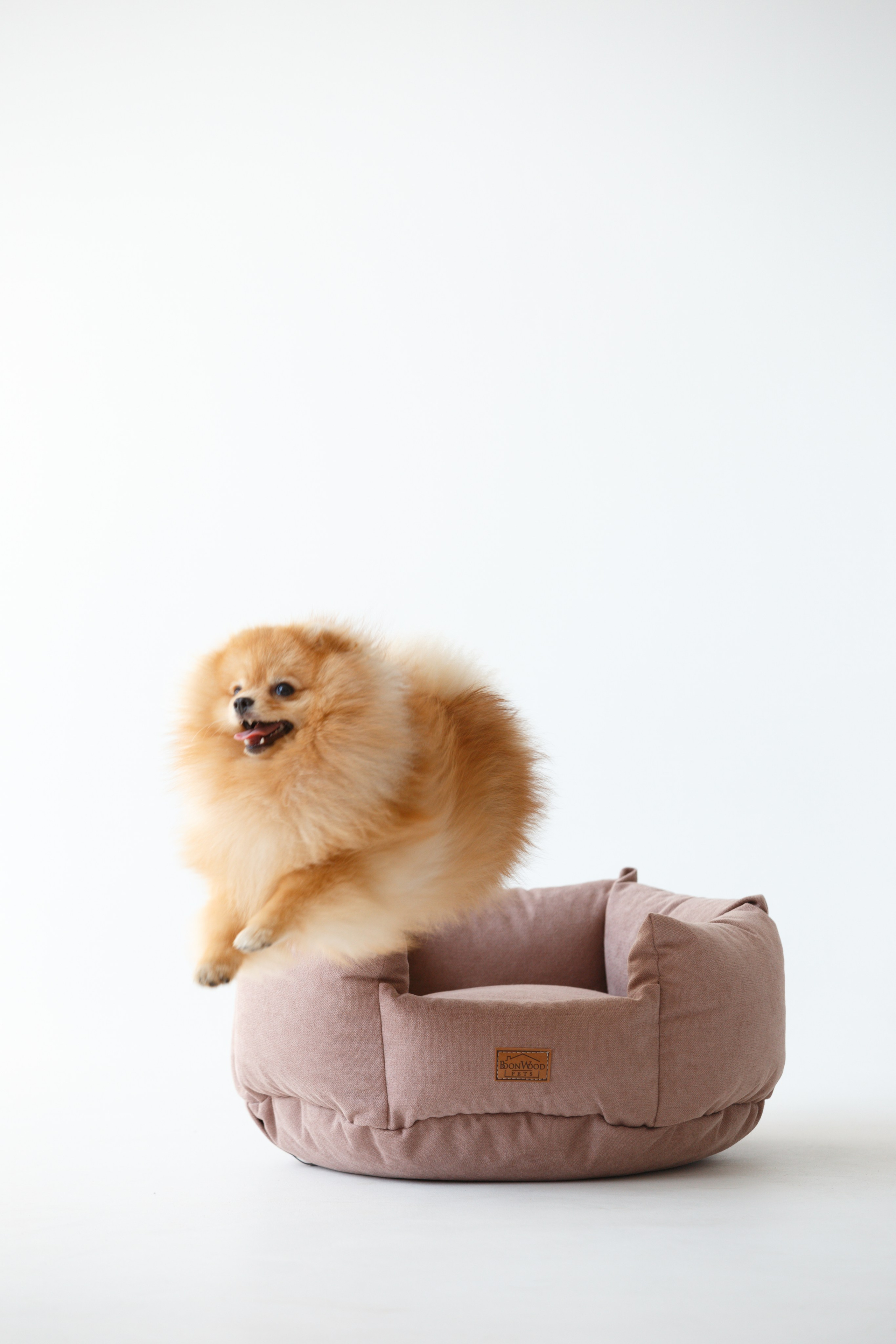 Boonwood Pets лежанки для животных. Фотограф анималист Кристина Карпова, Москва