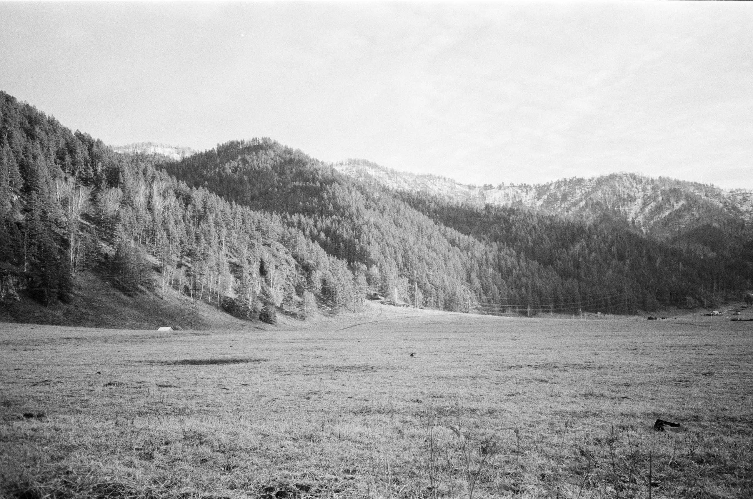 Olympus AF-10 SUPER / Ilford PAN 400 / Алтай, зима 2023 год