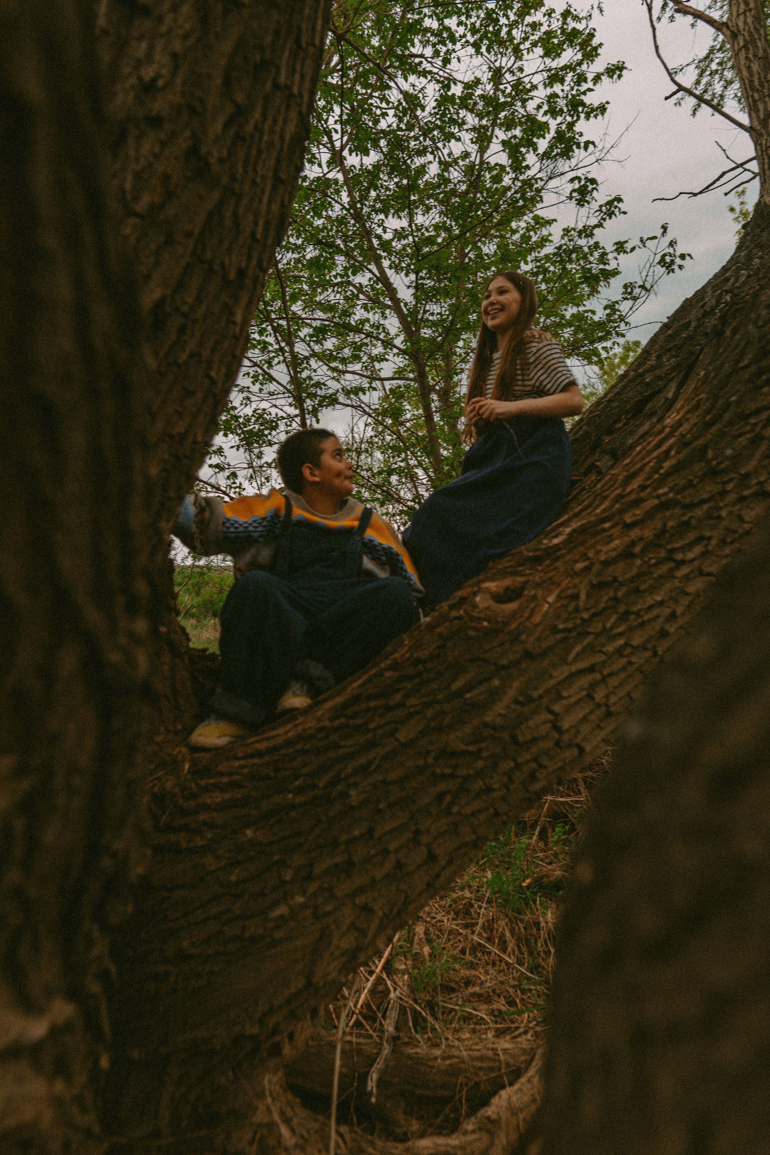 Когда деревья были большими. Семейный фотограф в Калининграде Елена Глазунова