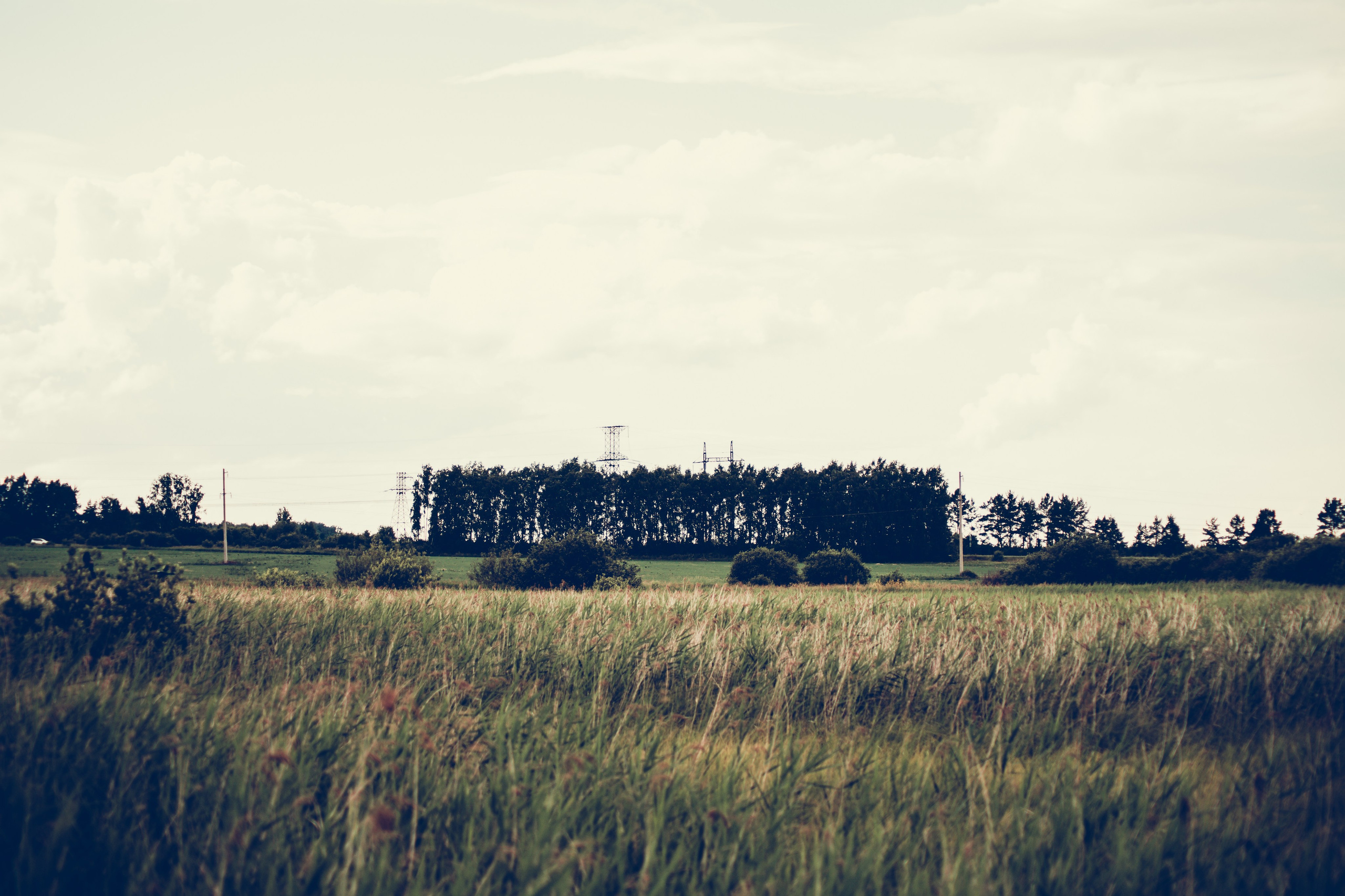 The Barn of Shadows. Whoii art