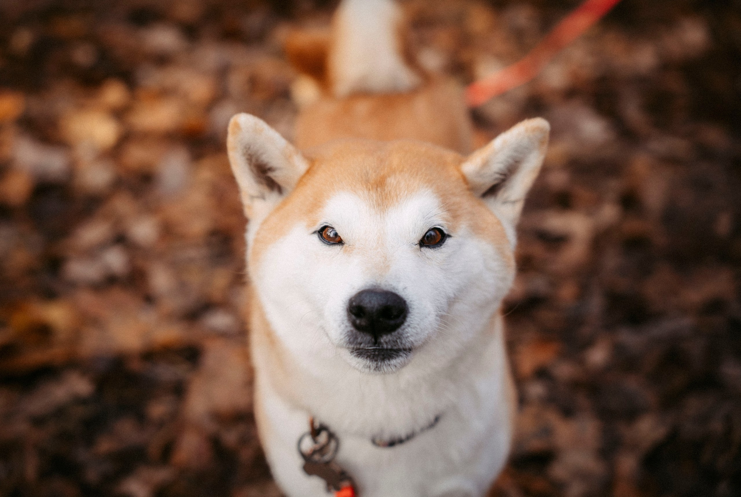 FINN FLARE x Enter. Саша Копылов, фотограф в Казани