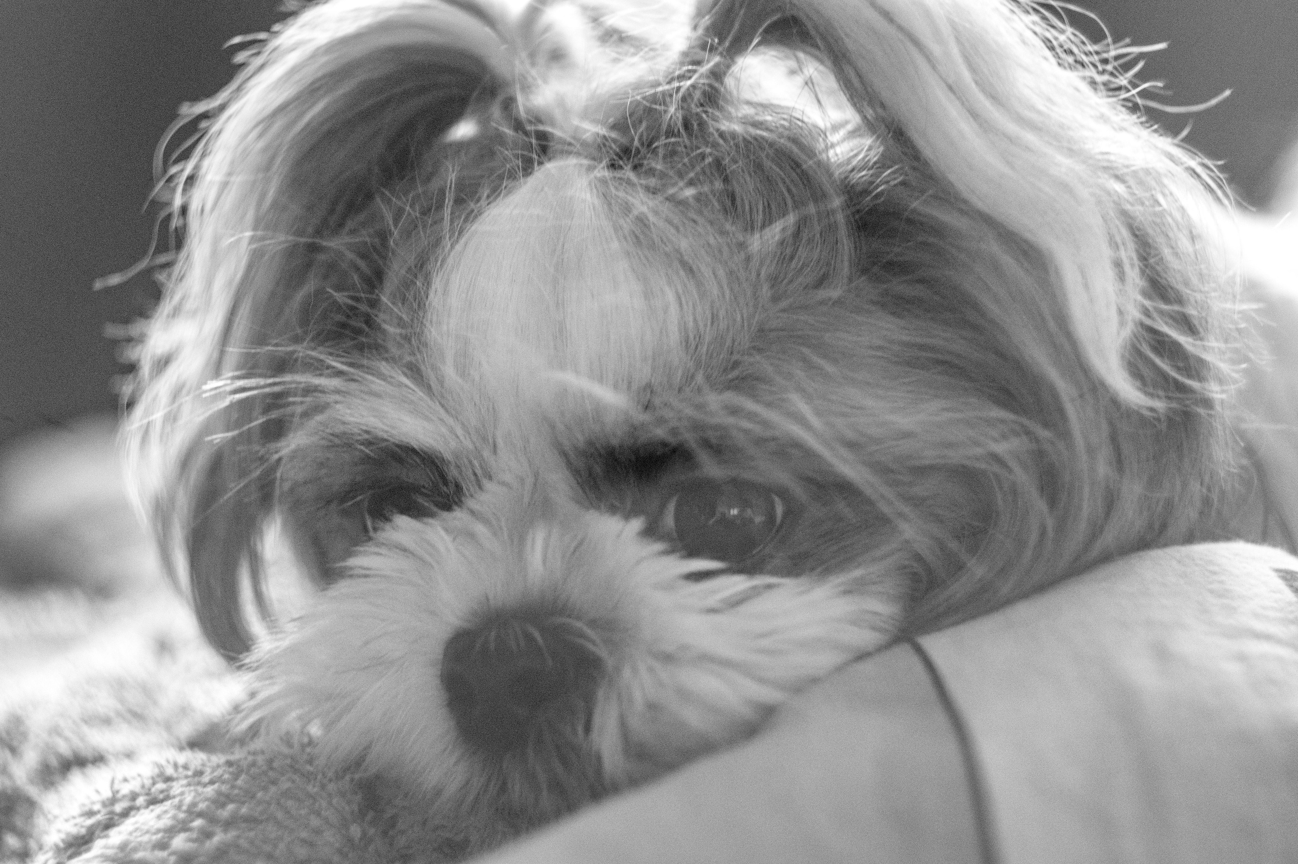 Профессиональный фотограф