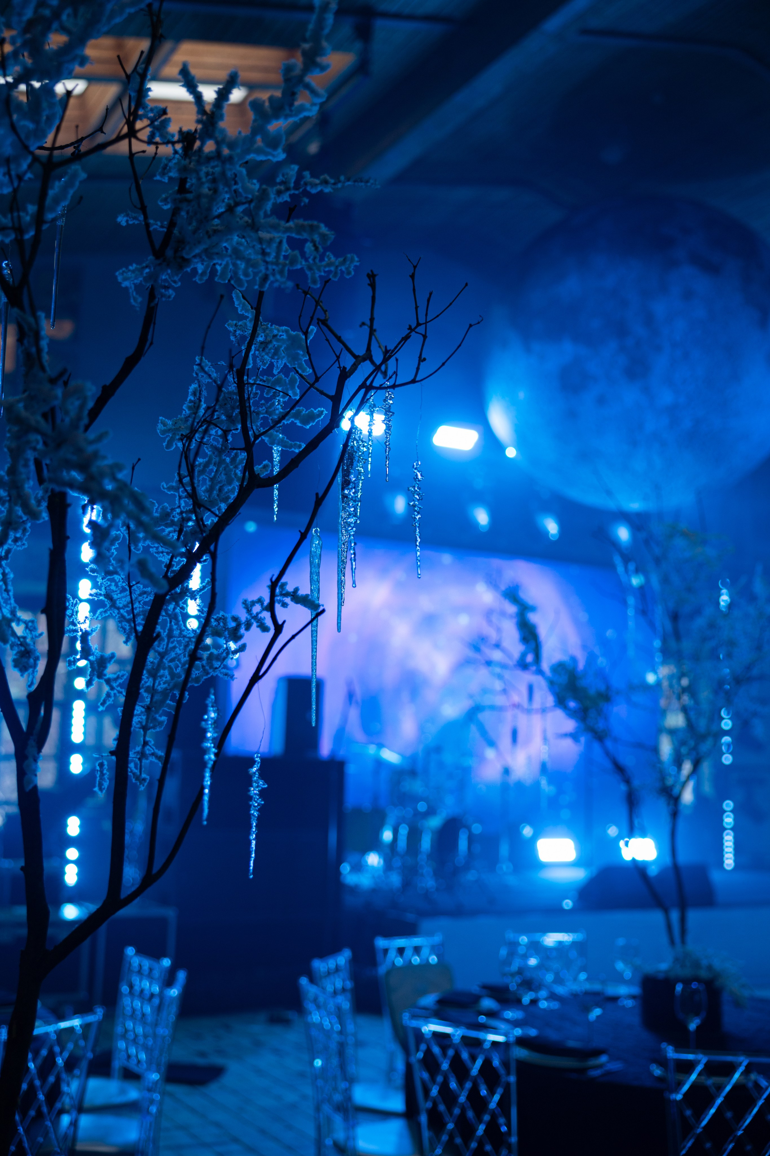 «Сказки на ночь». Фотограф Москва Людмила Белова