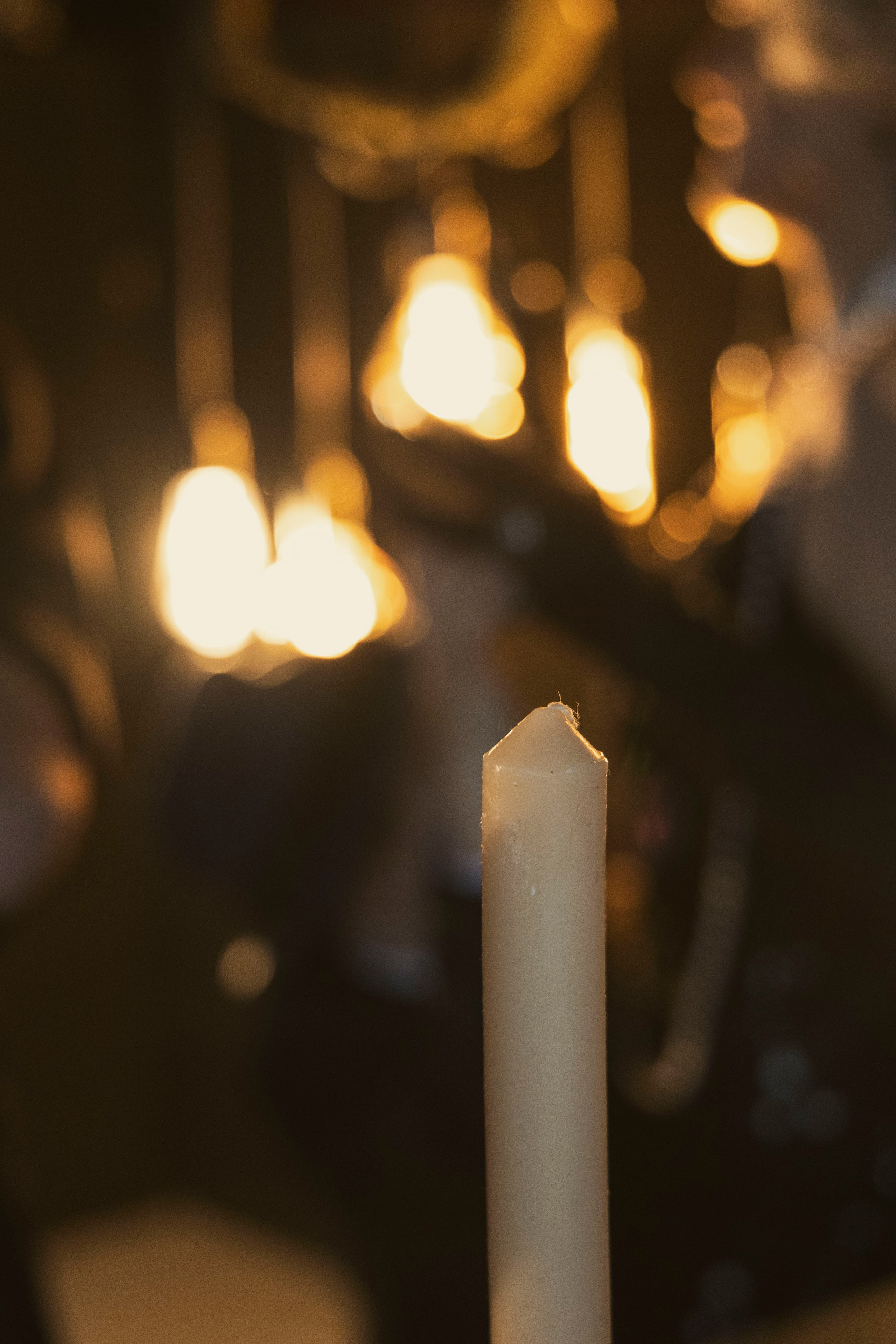 Семья Волковых. Фотограф для маркетплейсов, фотоуслуги в Жуковском Татьяна Марсуверских