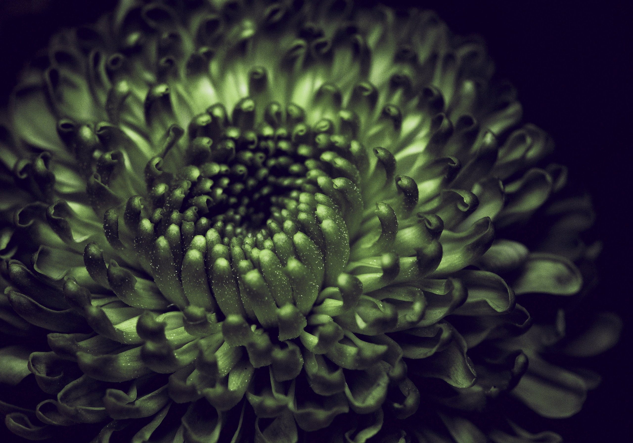 Арт-фото. Михаил Данилов | Фотограф