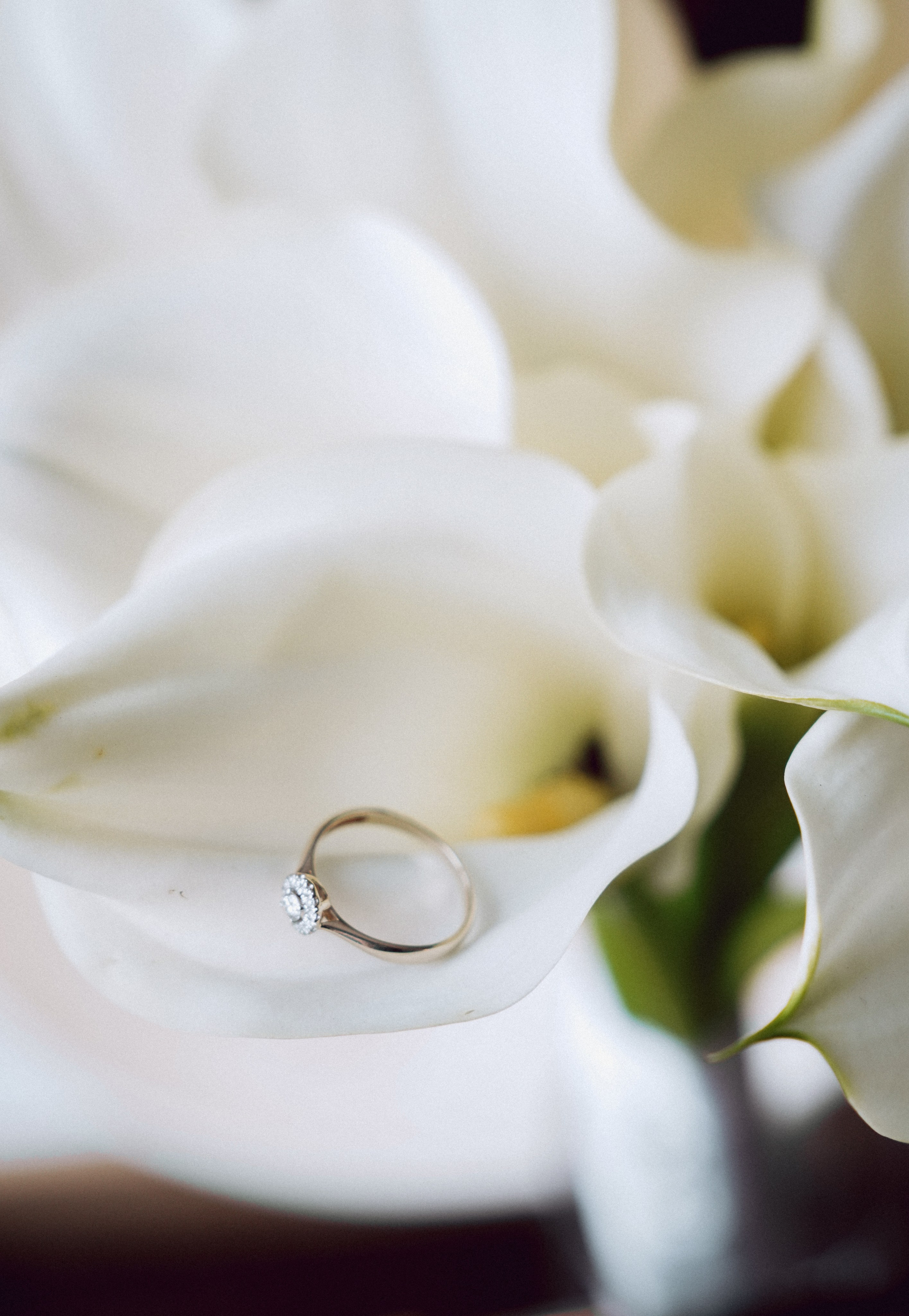 Эрес и Анастасия. Свадебный и семейный фотограф Ястребова Маргарита