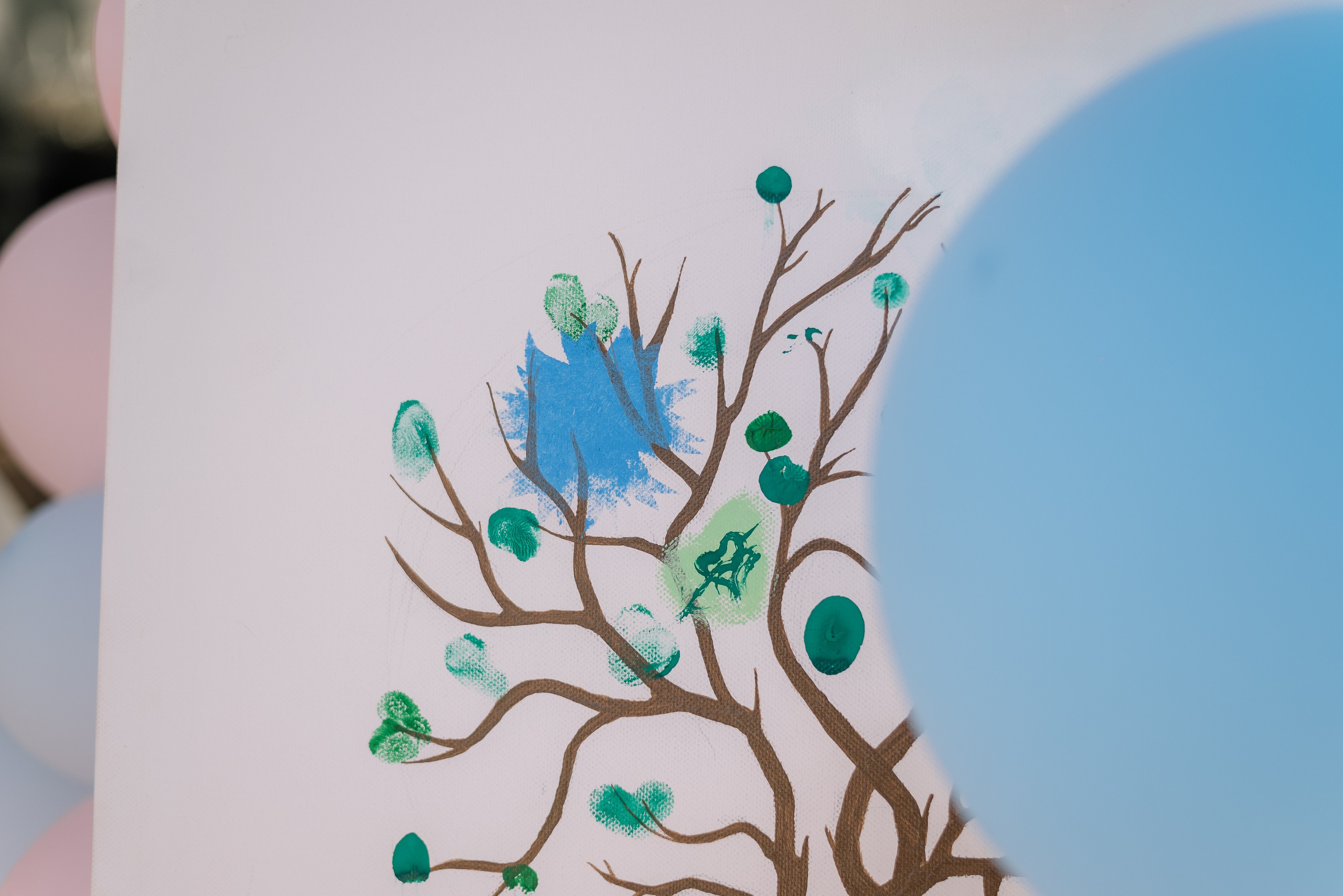 Gender party. Фотограф Екатеринбург Александра Гнусина