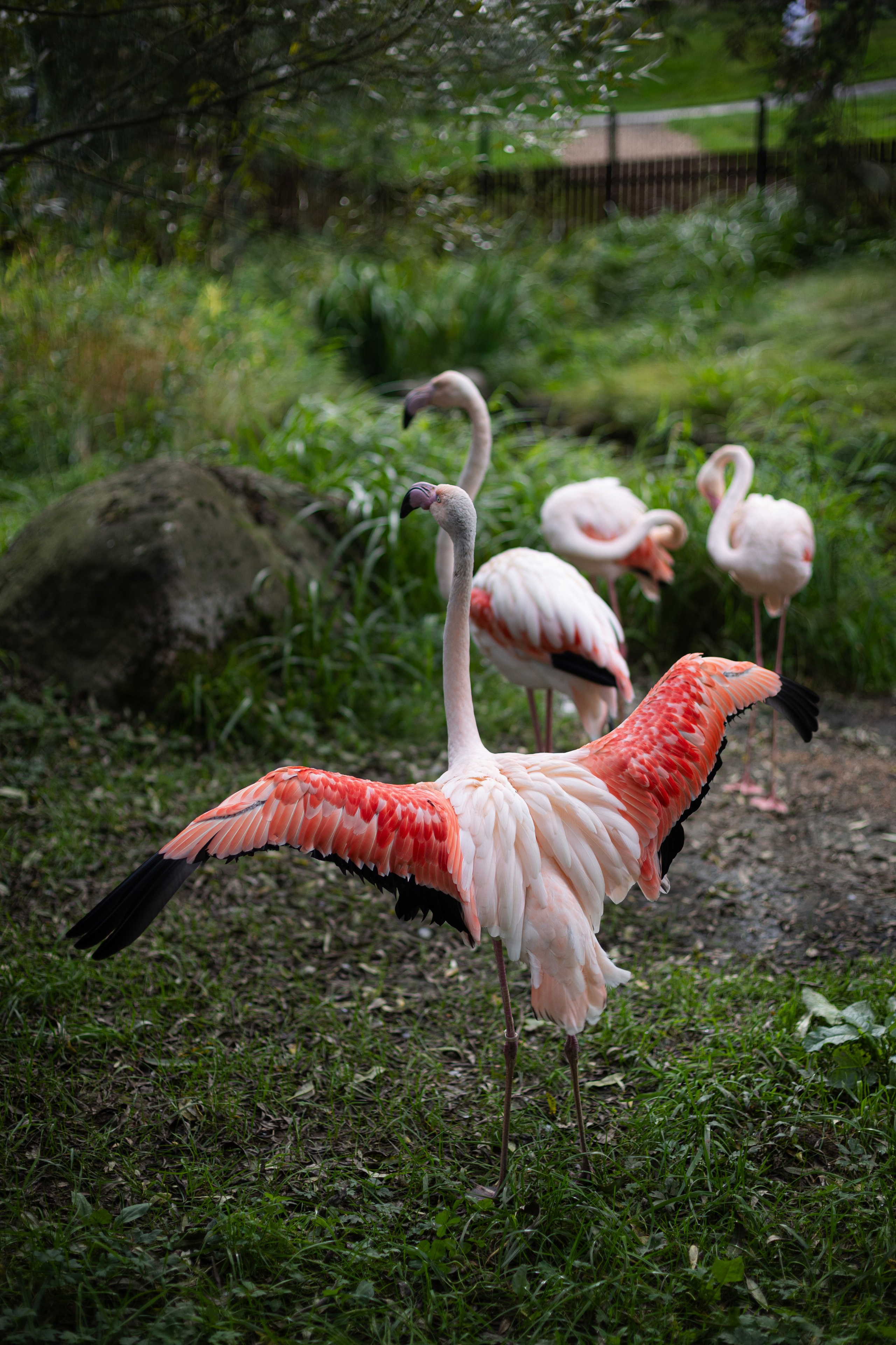 Кристина и Александр. Ваш фотограф — Александра Андрущенко