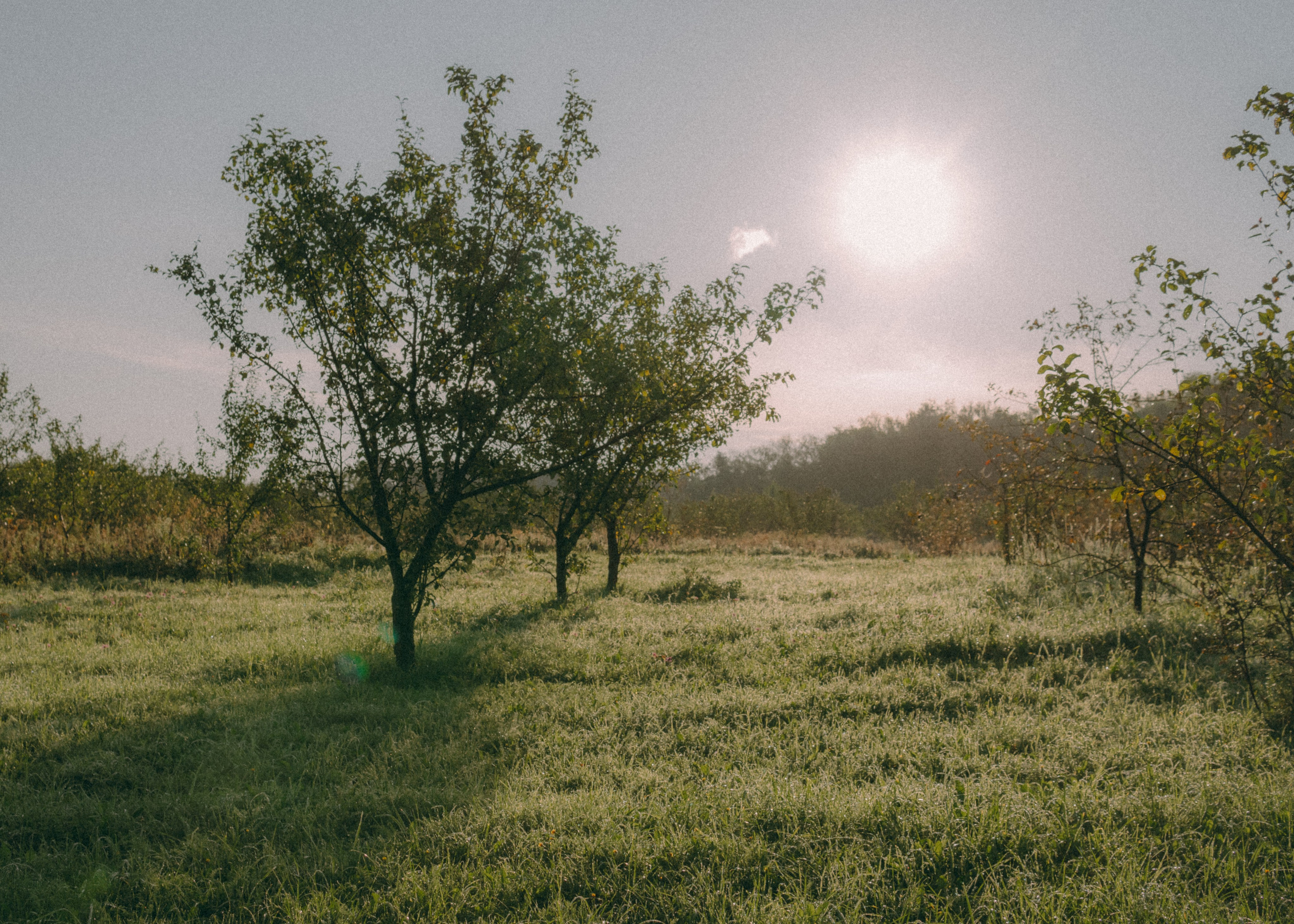 Оксана, Кирилл и Кеша. Фотограф-анималист Ксения Воробьева, Москва