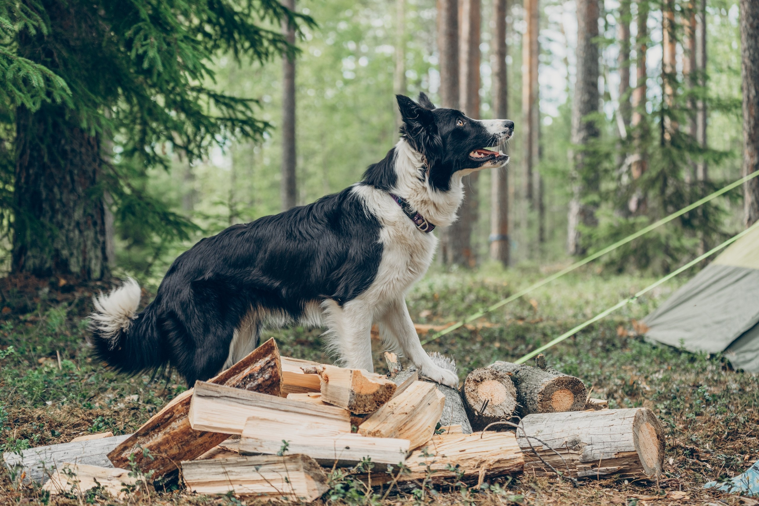 Юлия Пронина. Фотограф в России, Семейный фотограф, репортажный фотограф, детский фотограф, портретный фотограф, контент фотограф, универсальный фотограф