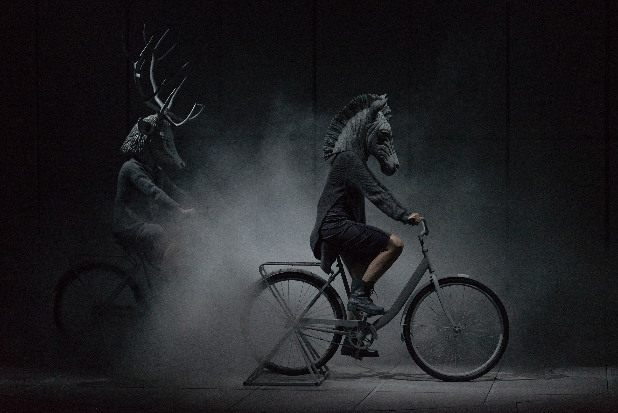 «СВЕРЧОК». Фотограф Александра Дмитриевская