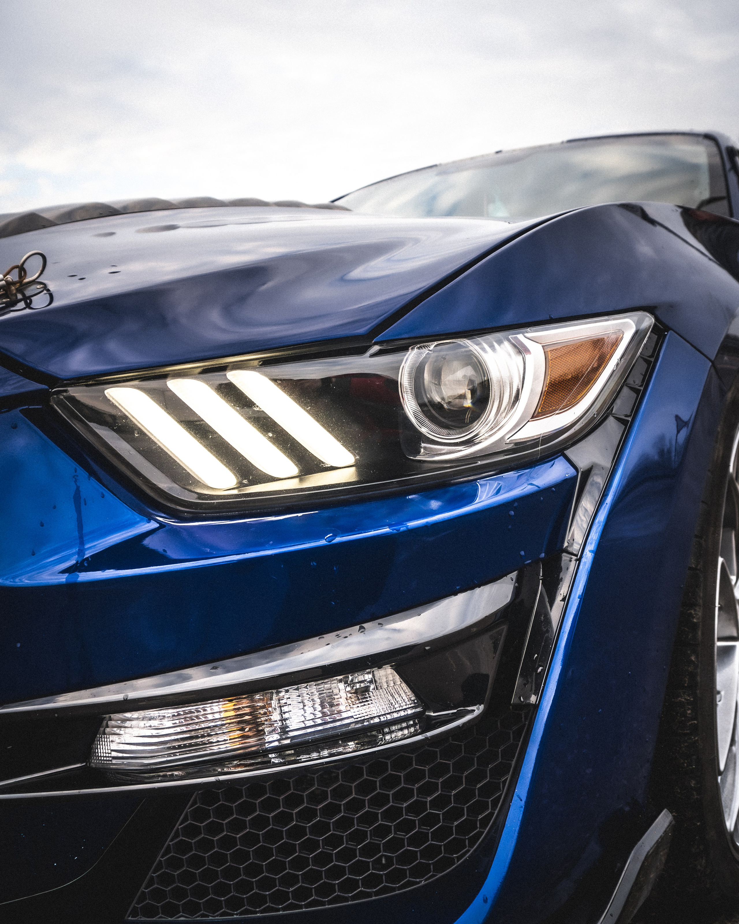 SHELBY GT500. Автомобильный фотограф в Москве